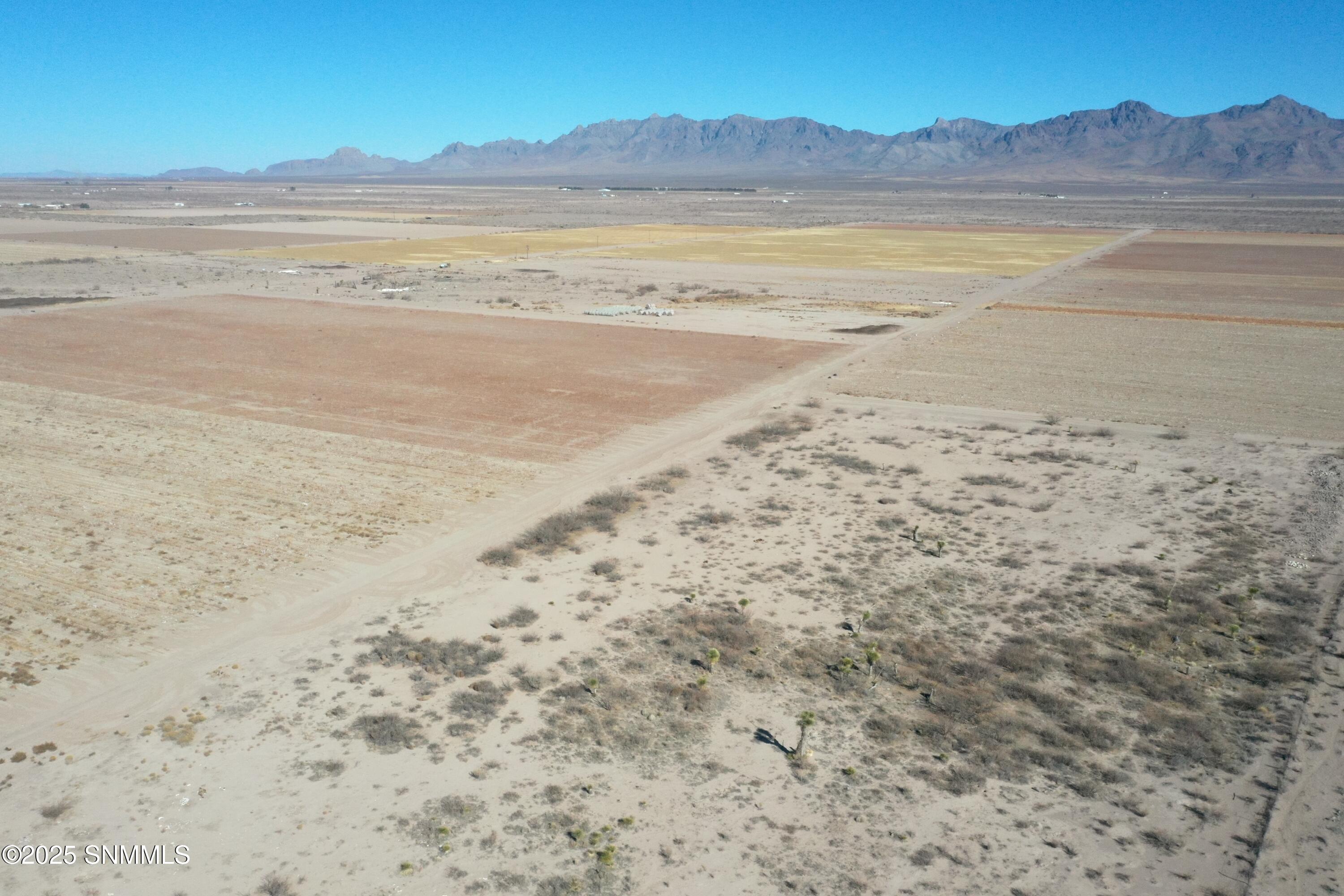 org_92cd594a60371898_1738357072000 (1)