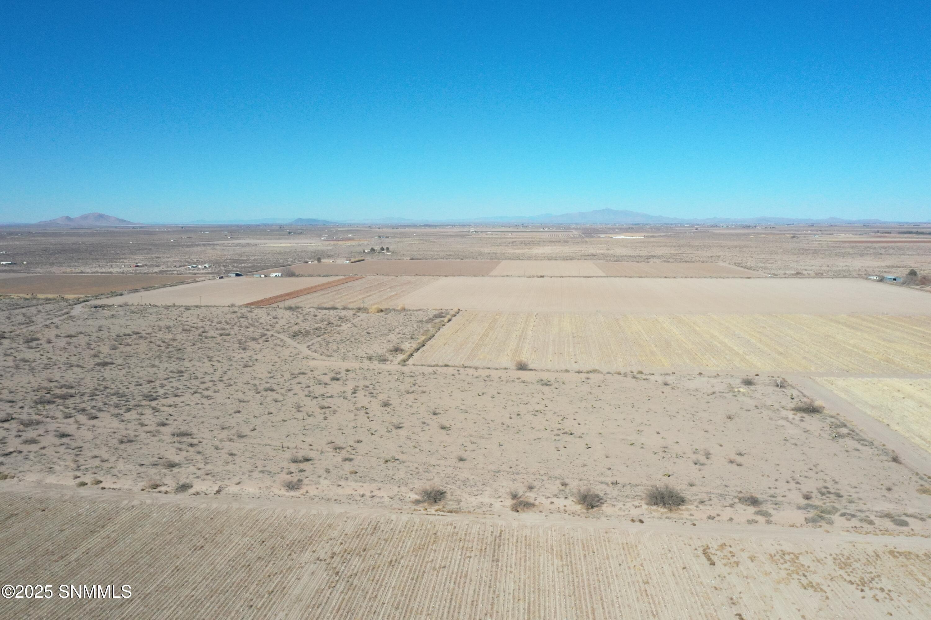 org_8754fc90c6a4dce0_1738357282000 (1)