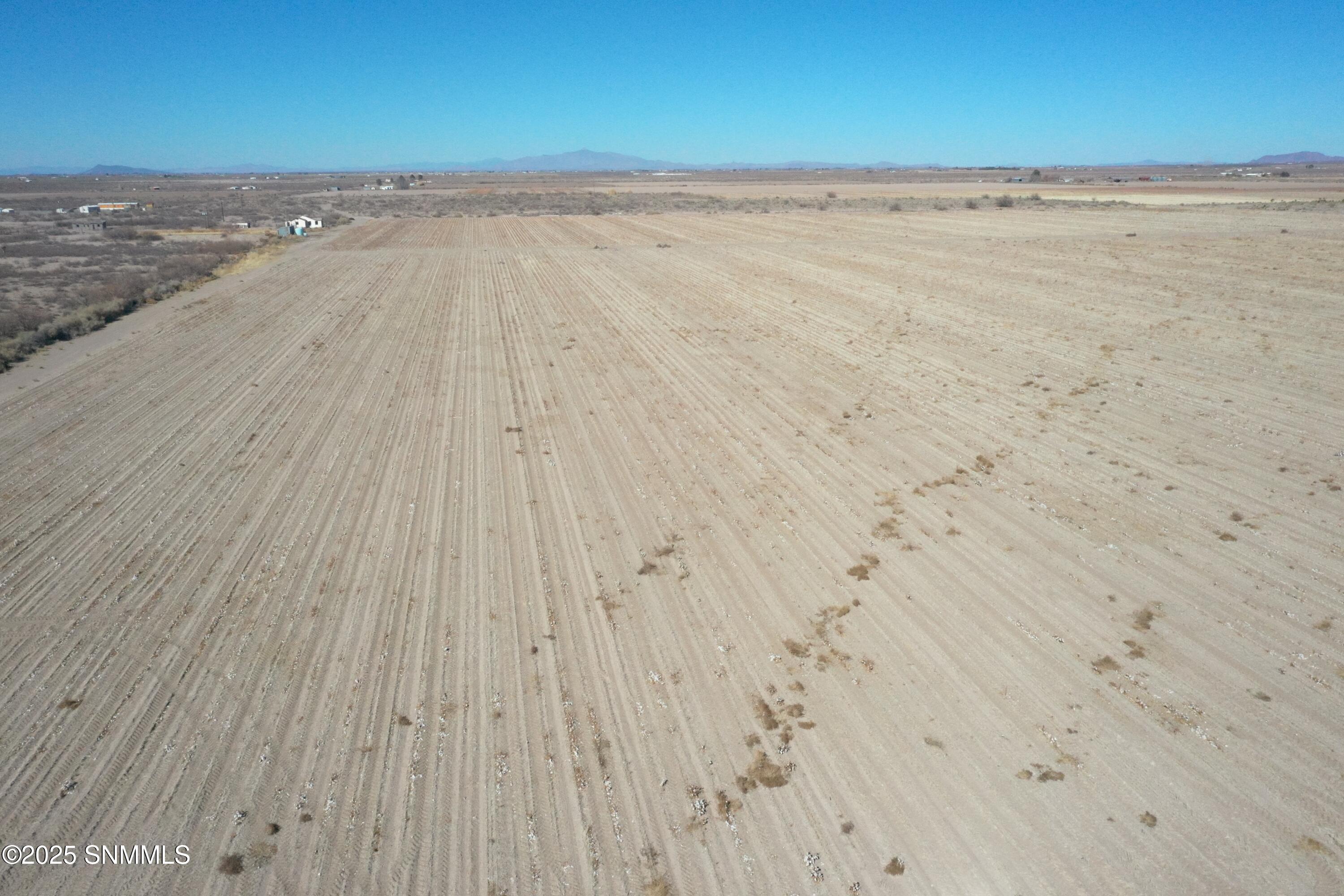 org_855592effa1233e8_1738357052000 (1)