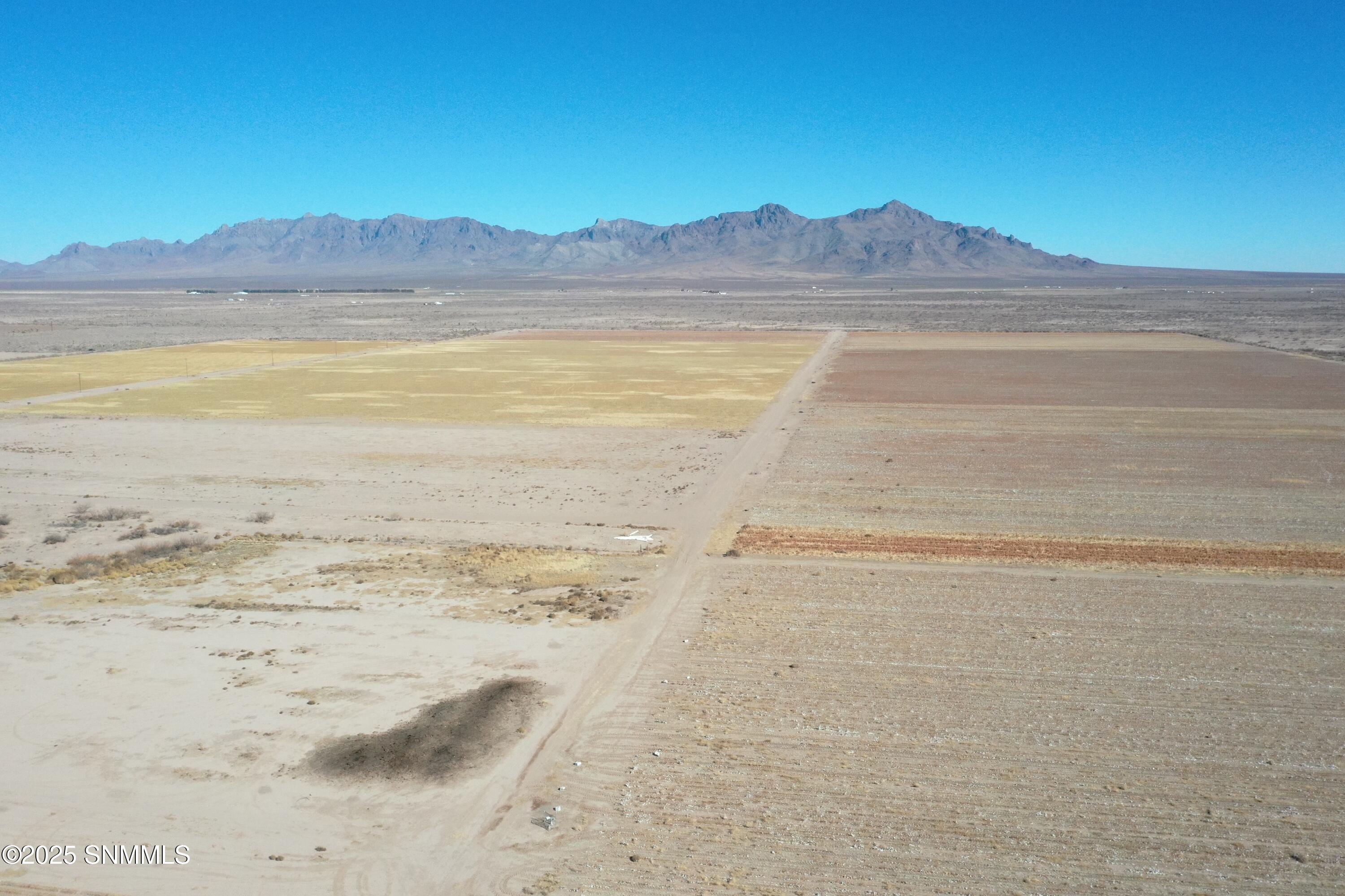 org_956158b312b75713_1738357136000 (1)