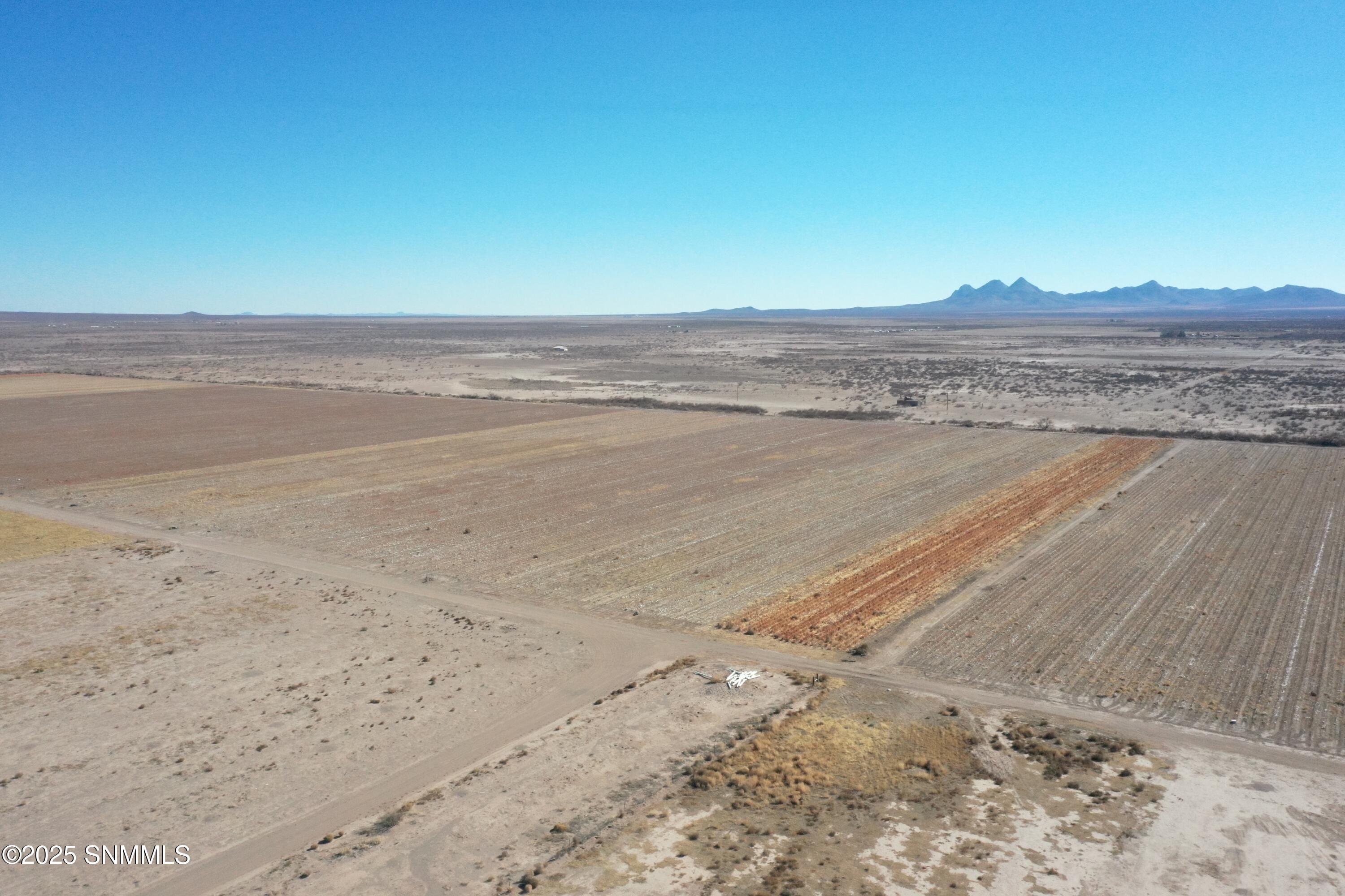 org_7953858866e8035b_1738357170000 (1)