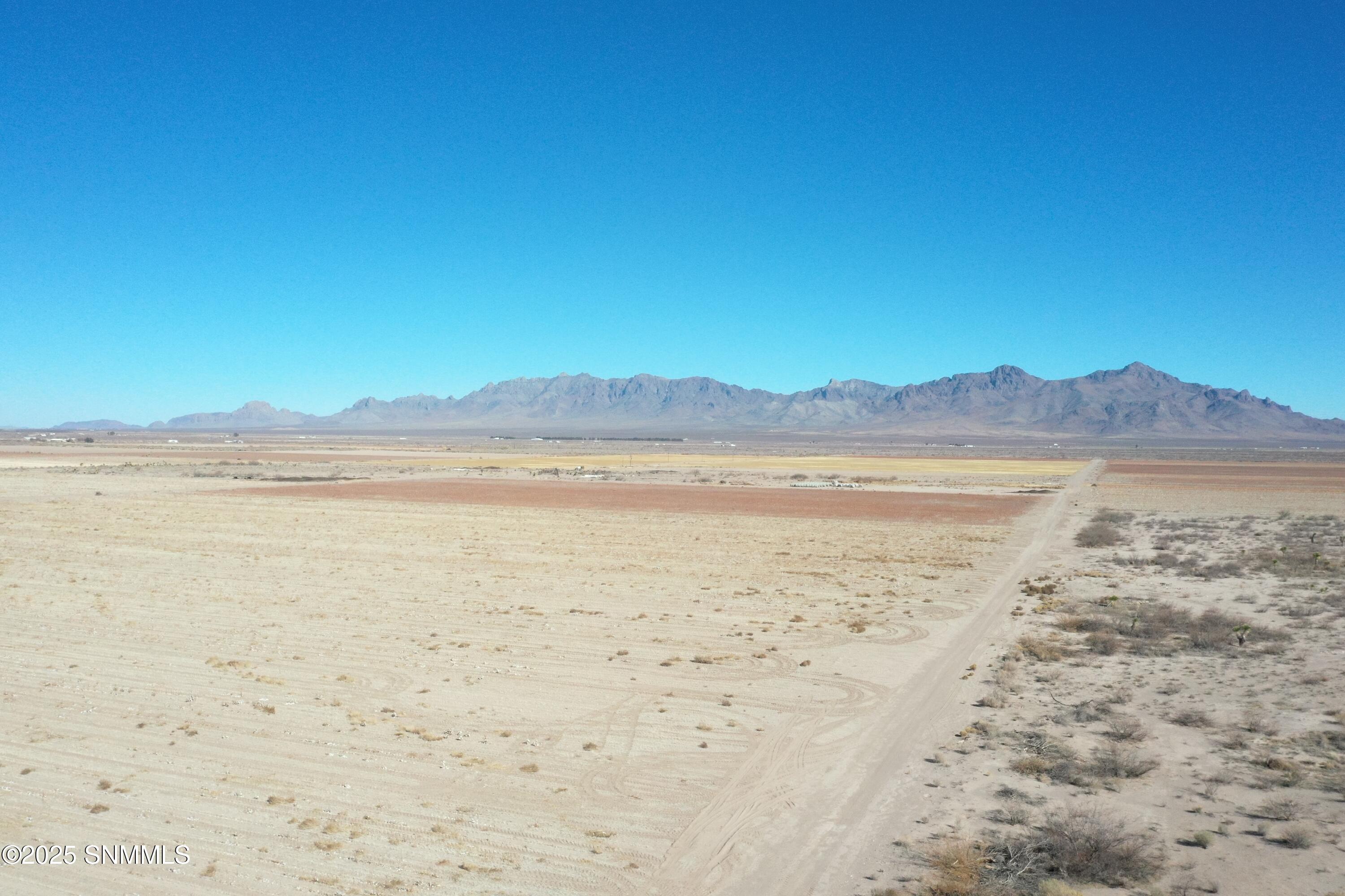 org_b30a169e8bdd5c98_1738357038000 (1)