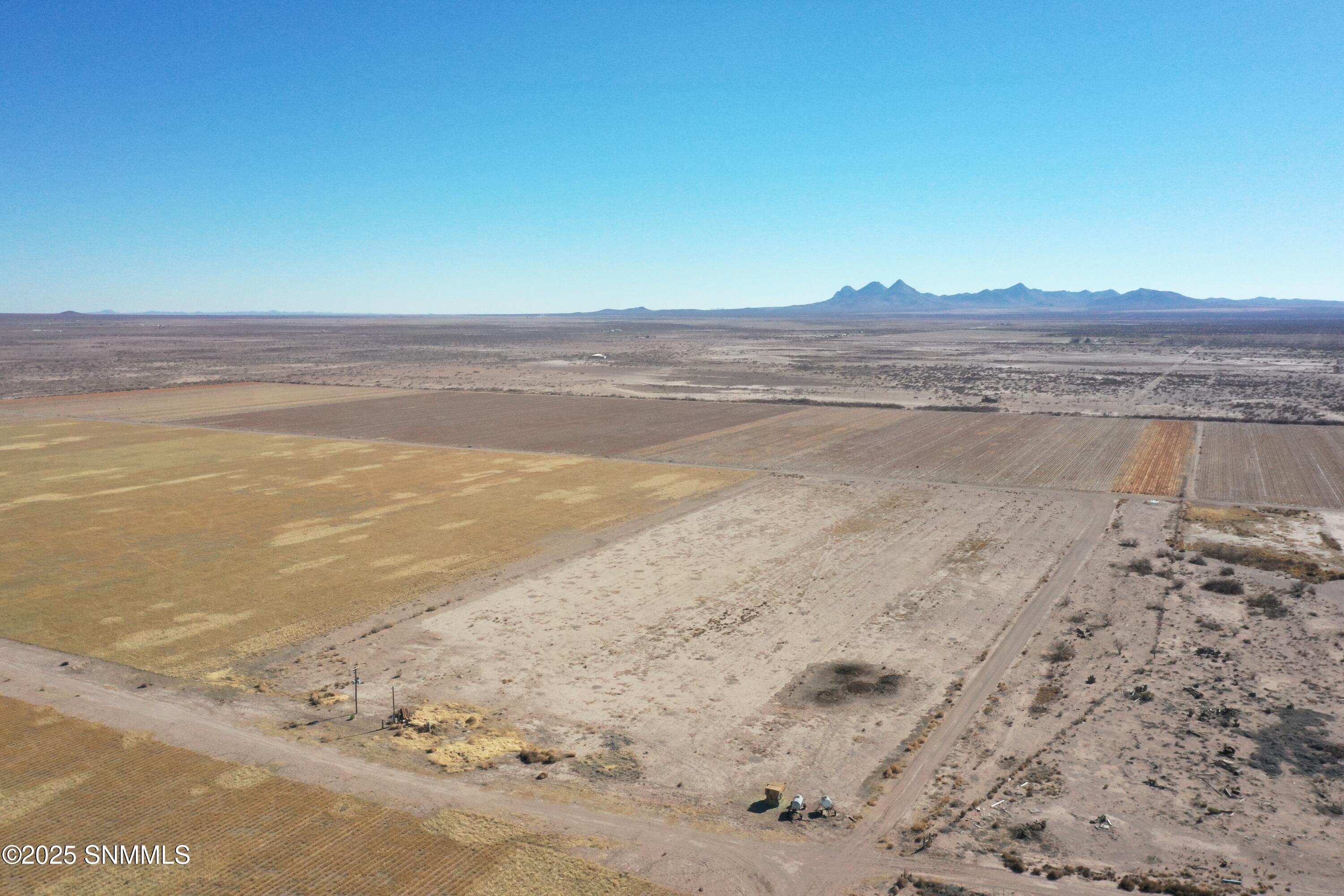 org_cc6020741a079d94_1738357234000 (1)