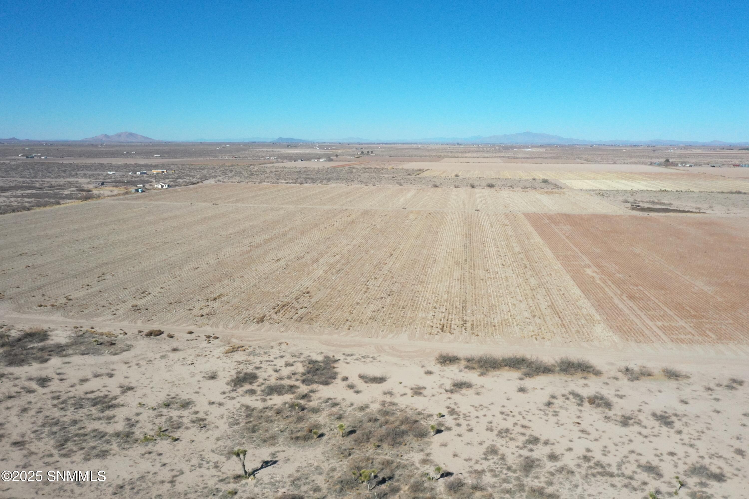 org_dfaaced0f271a90c_1738357110000 (1)