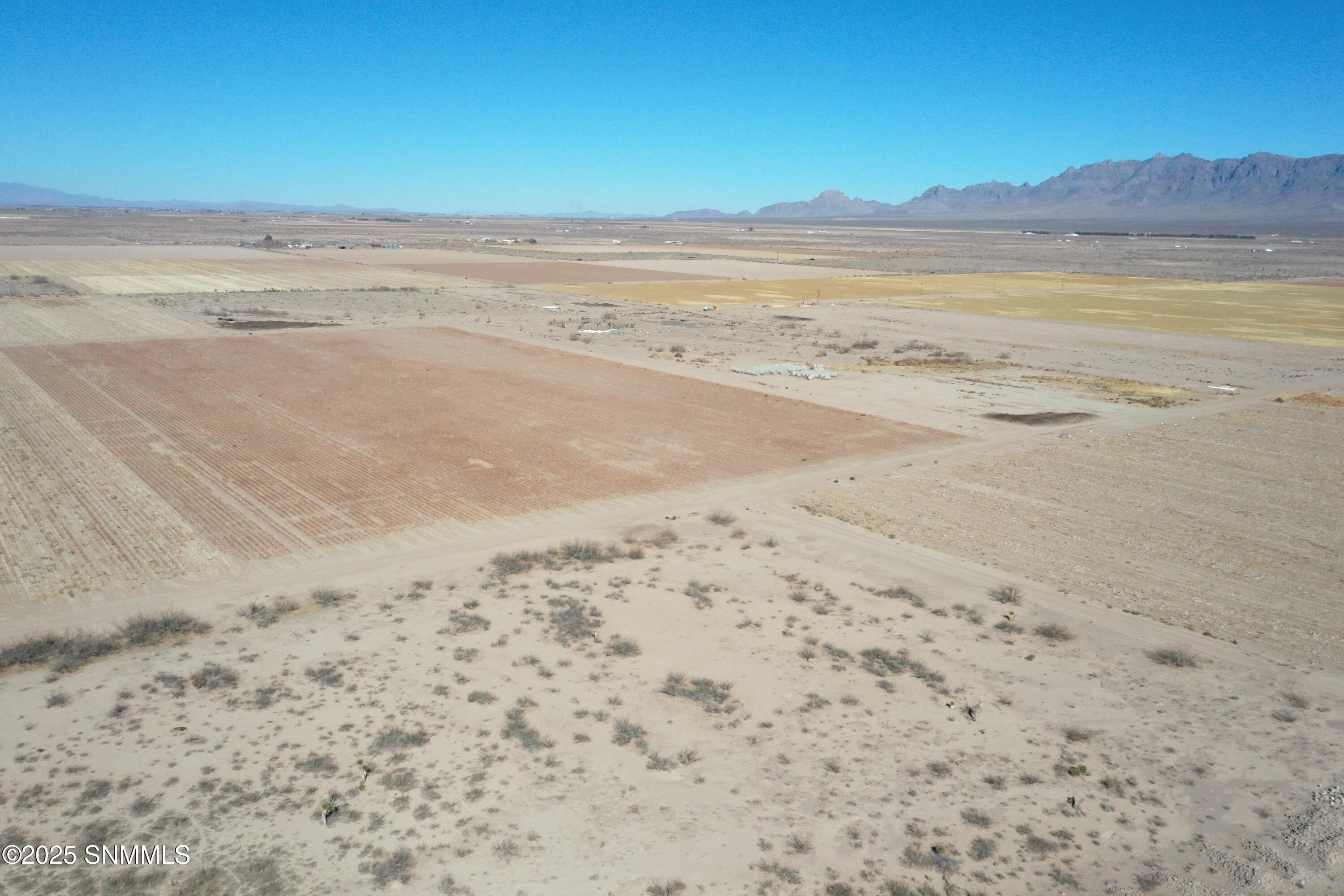 org_e094f06ee242f7d6_1738357104000 (1)