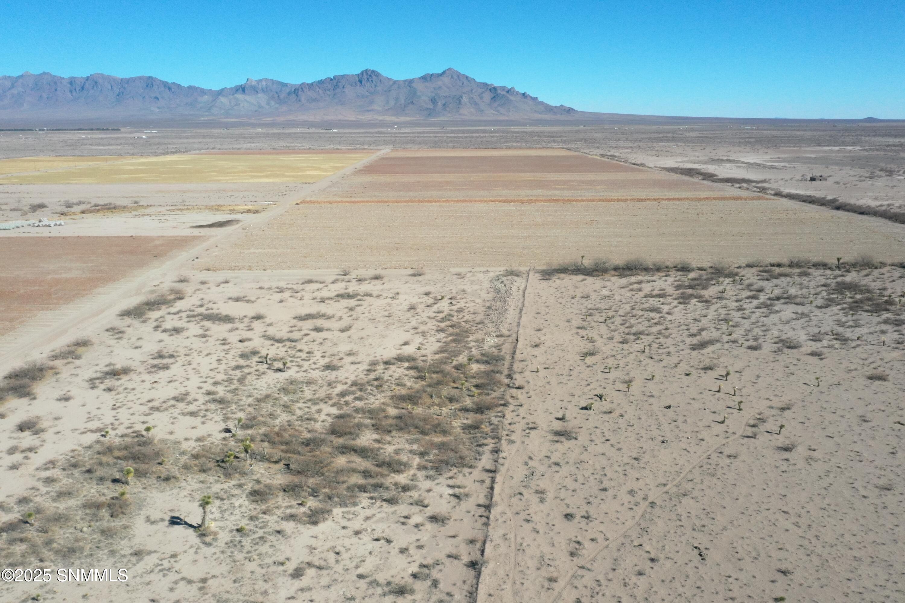 org_f983d008de3d12d5_1738357080000 (1)