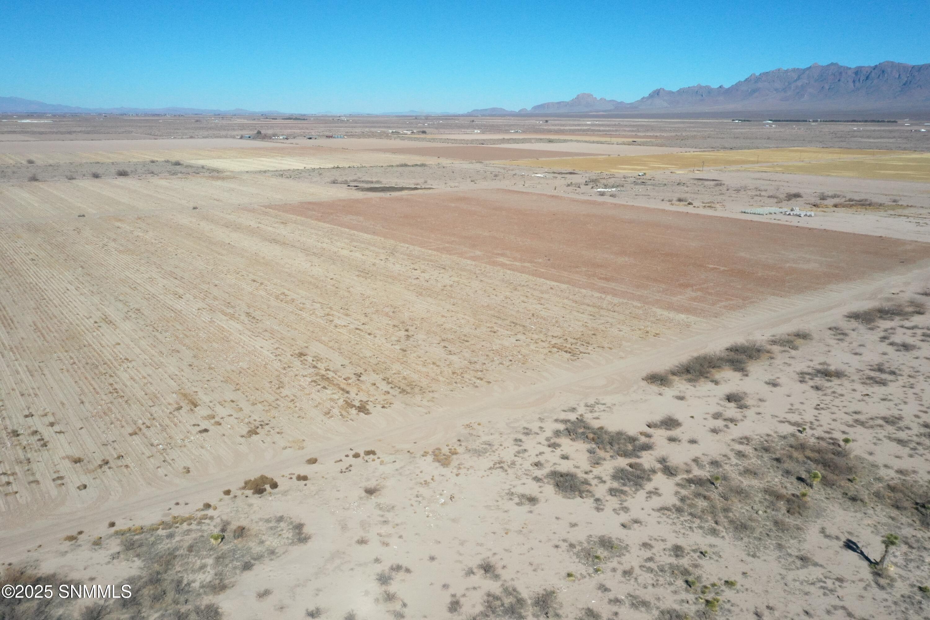 org_ff78cf60b032ccef_1738357076000 (1)