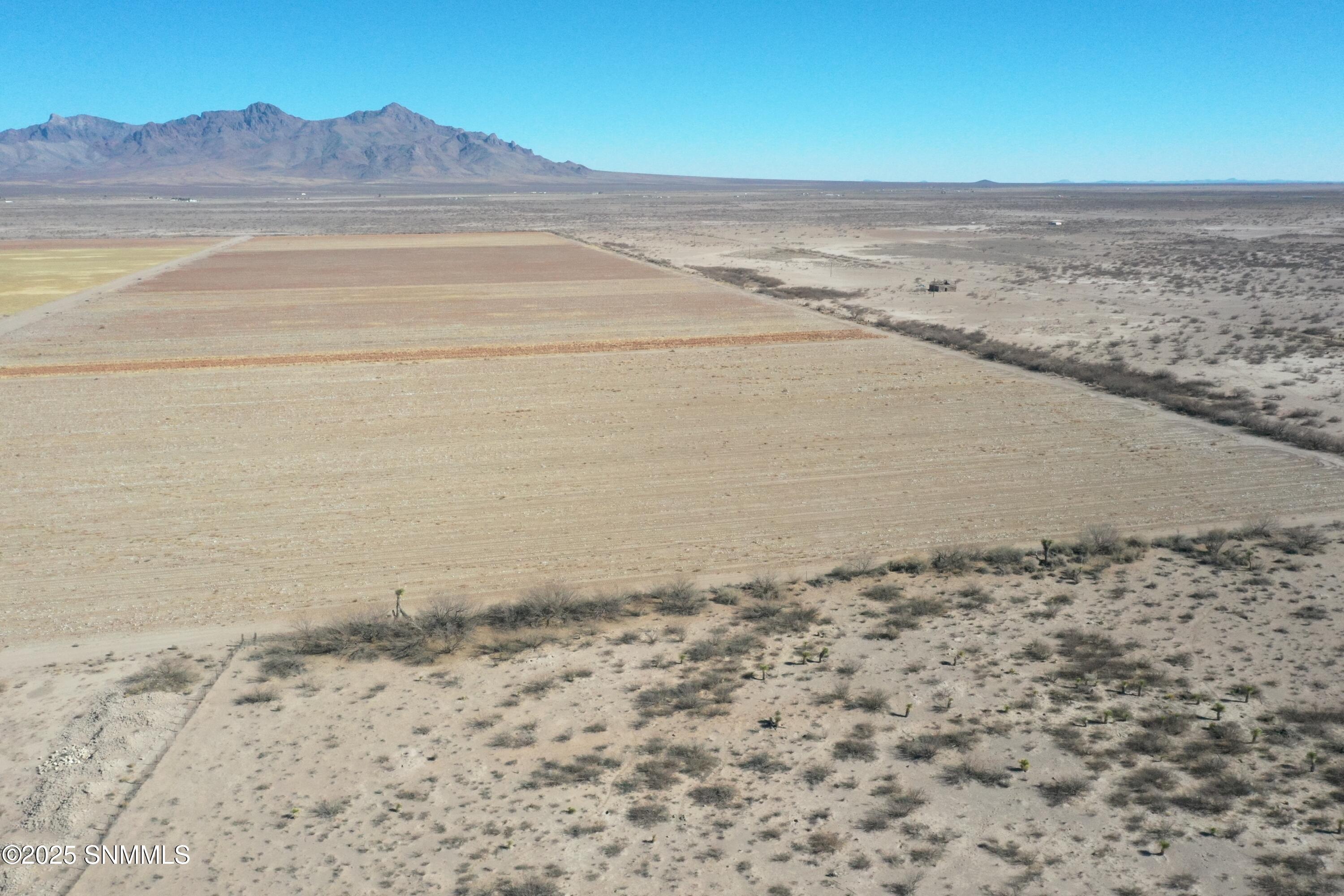 org_bfe155f64611b6eb_1738357096000 (1)