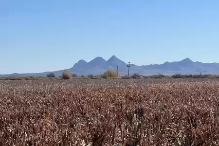 990 New Frontier Drive, Deming, New Mexico 88030, ,Farm,For Sale,New Frontier,2502231