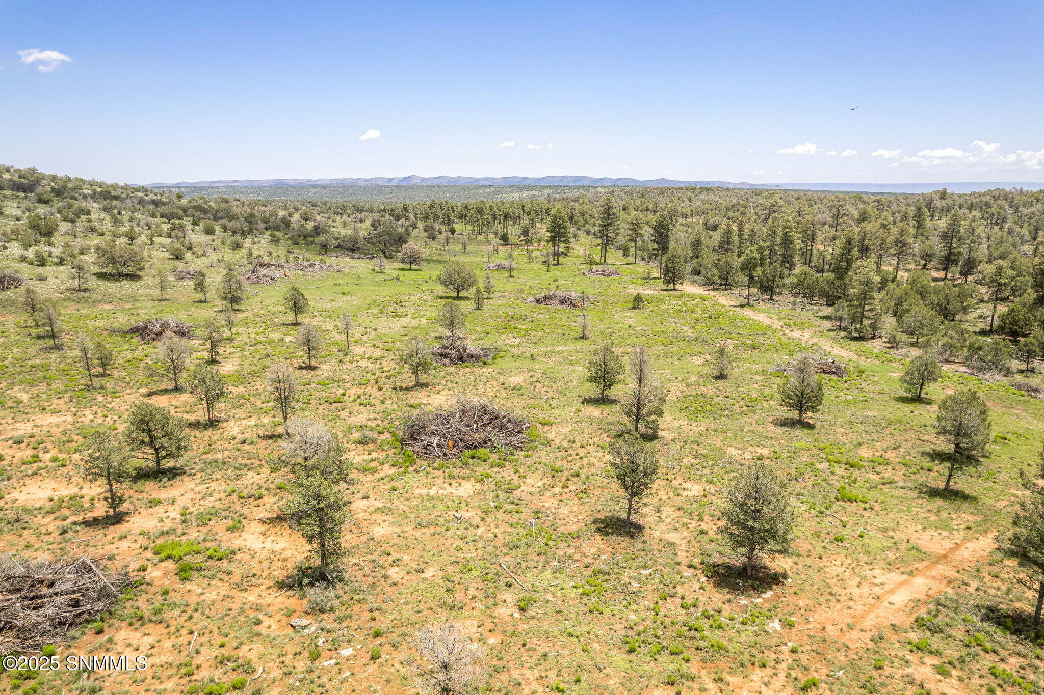 10-web-or-mls-Snappin Homes (DryCreekRan