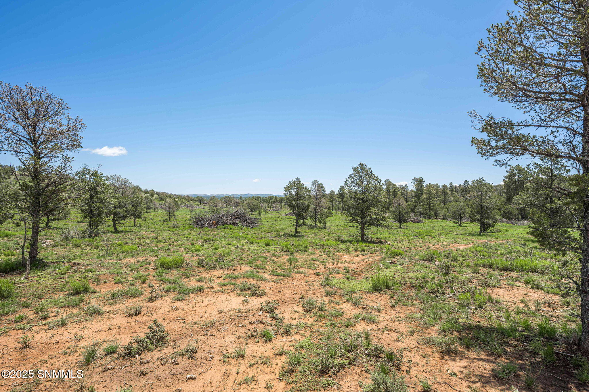 11-web-or-mls-Snappin Homes (DryCreekRan