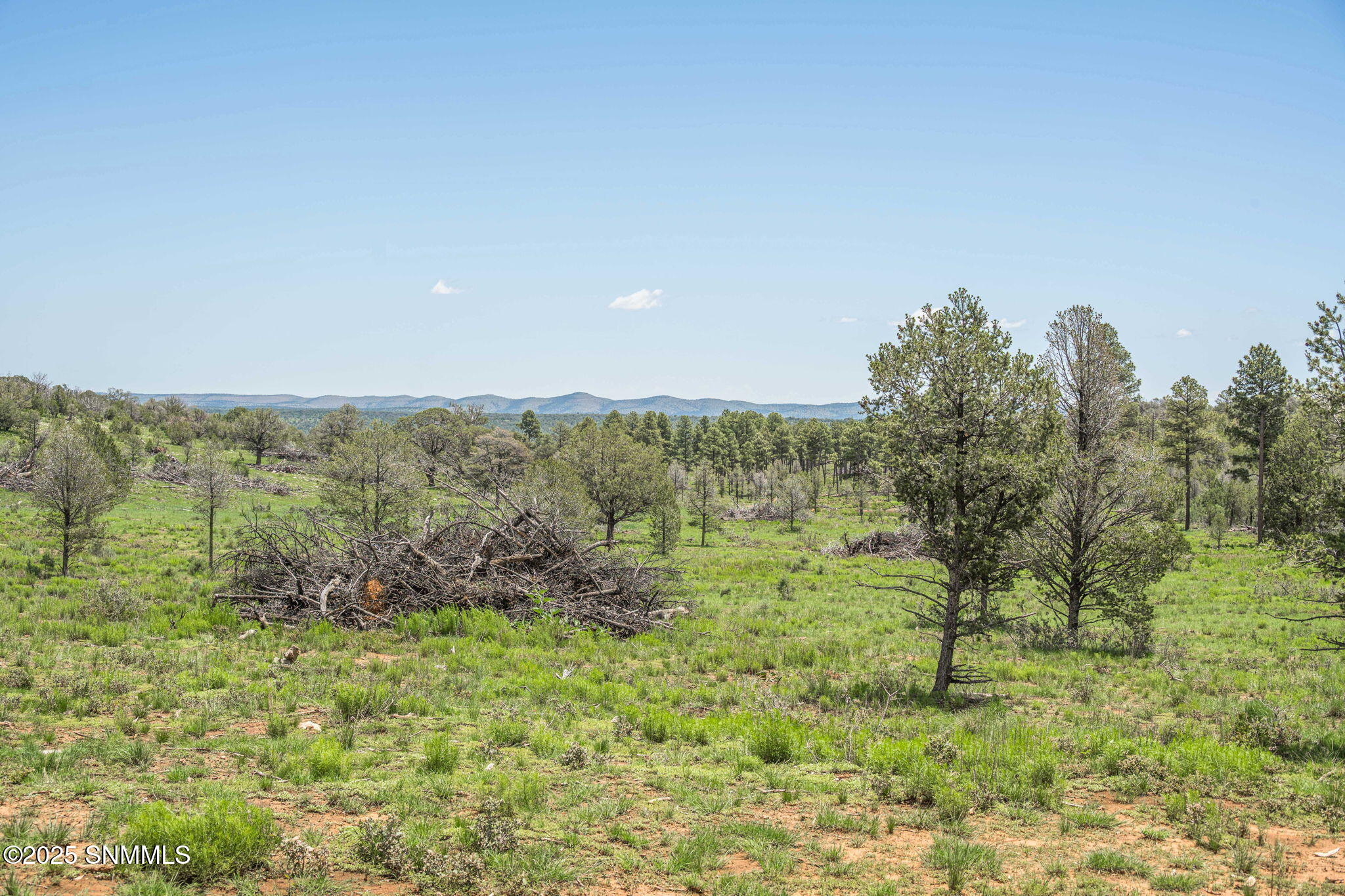 12-web-or-mls-Snappin Homes (DryCreekRan