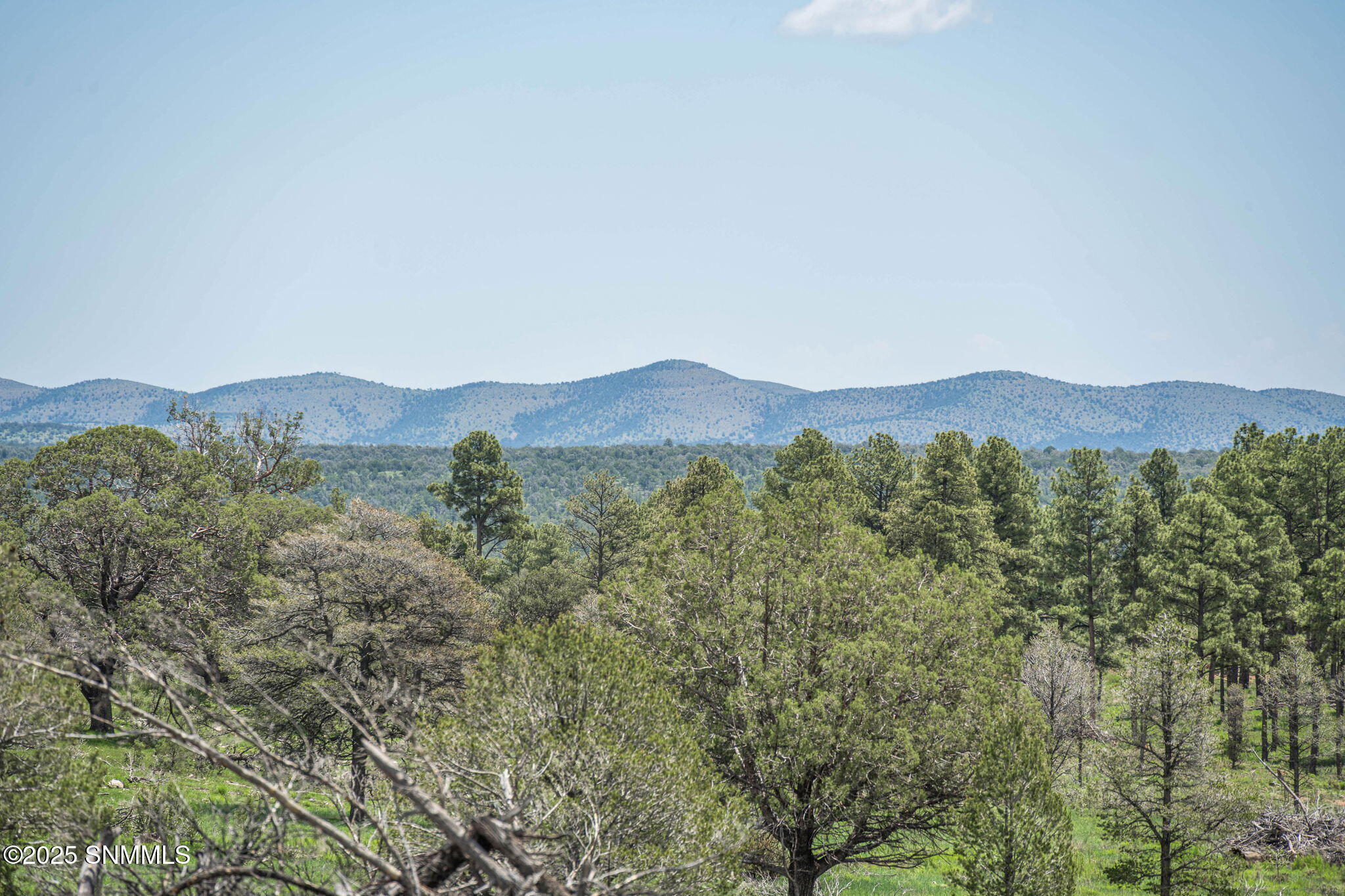 13-web-or-mls-Snappin Homes (DryCreekRan