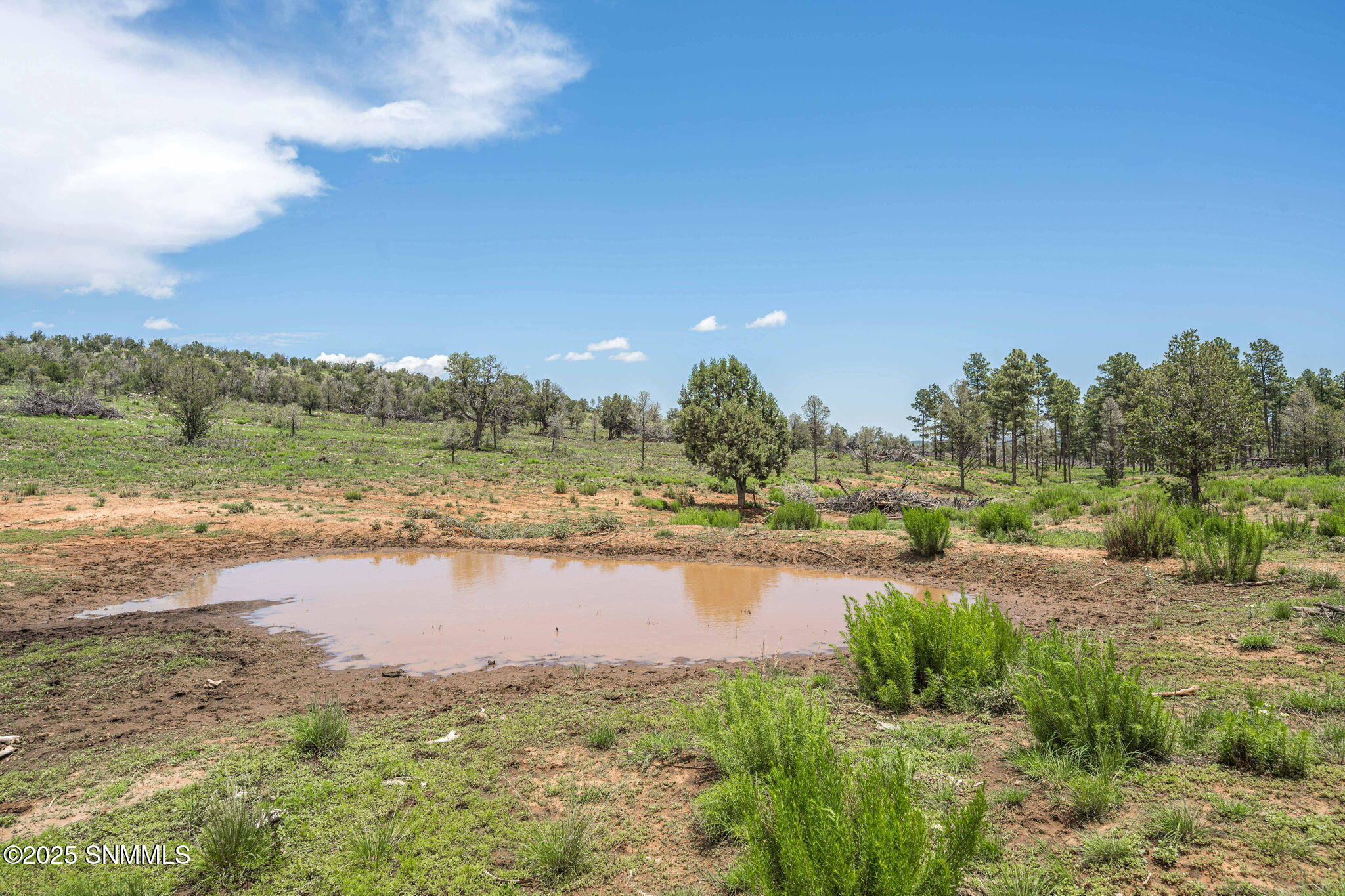 16-web-or-mls-Snappin Homes (DryCreekRan