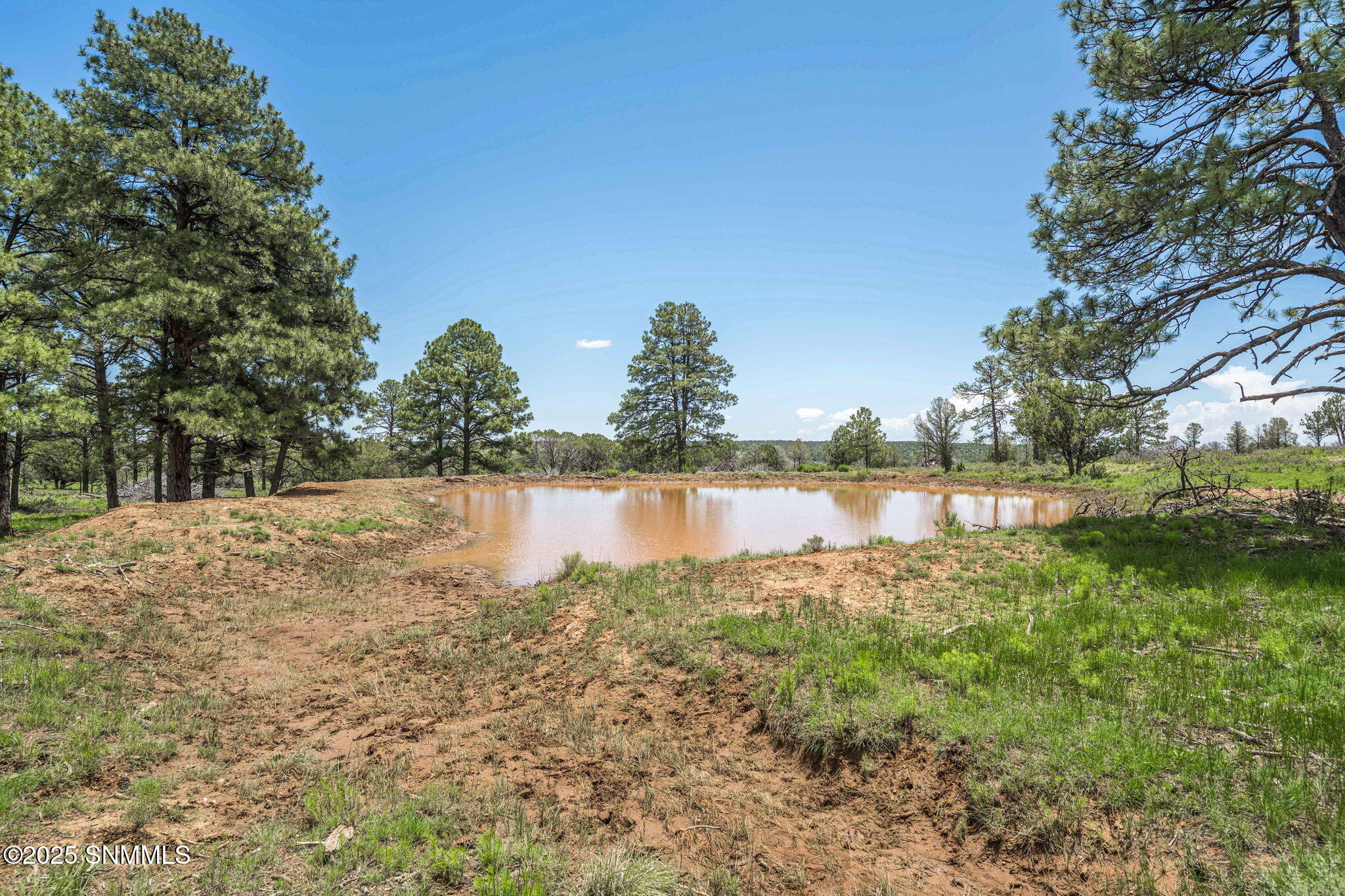 17-web-or-mls-Snappin Homes (DryCreekRan