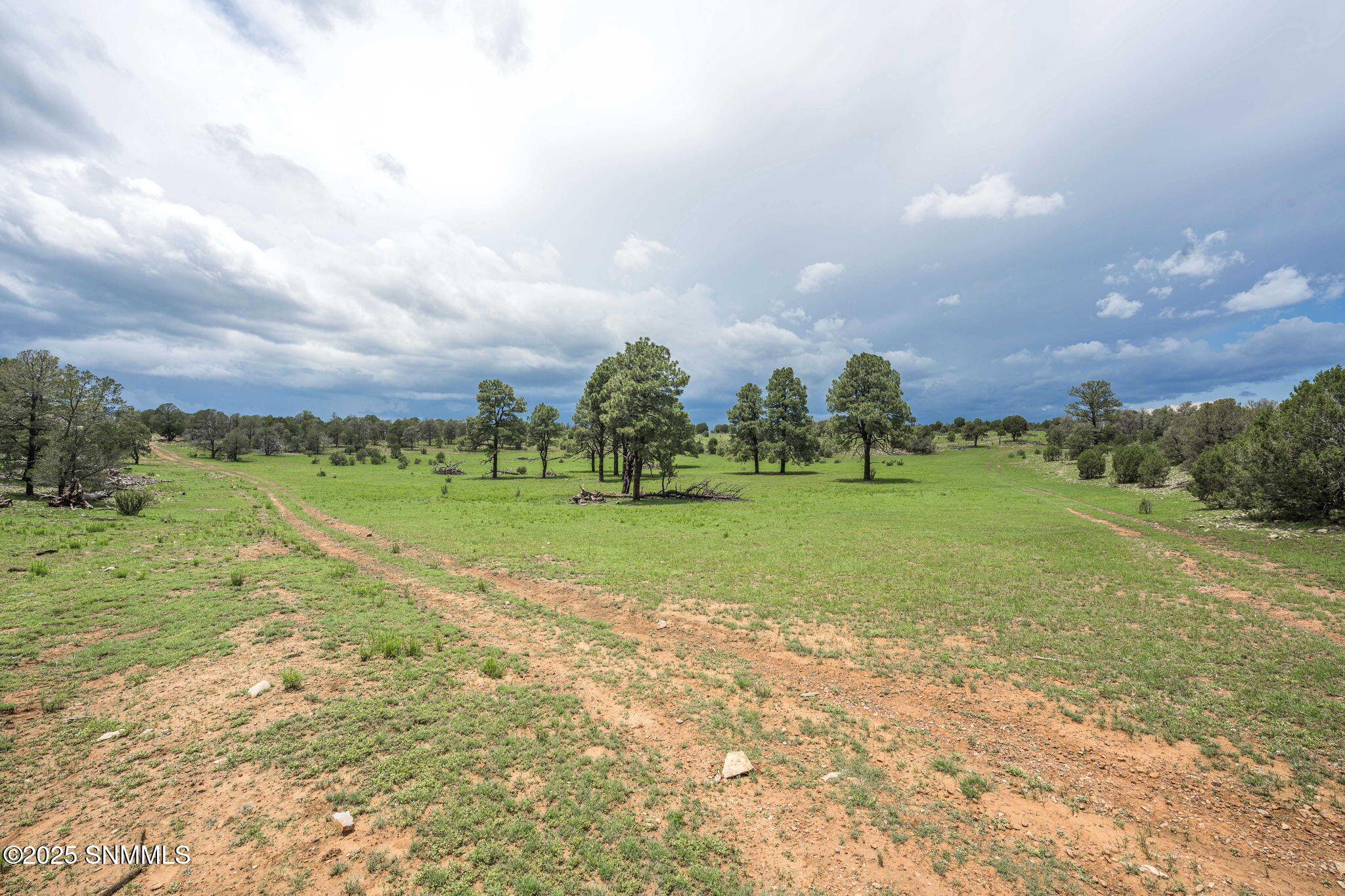 31-web-or-mls-Snappin Homes (DryCreekRan