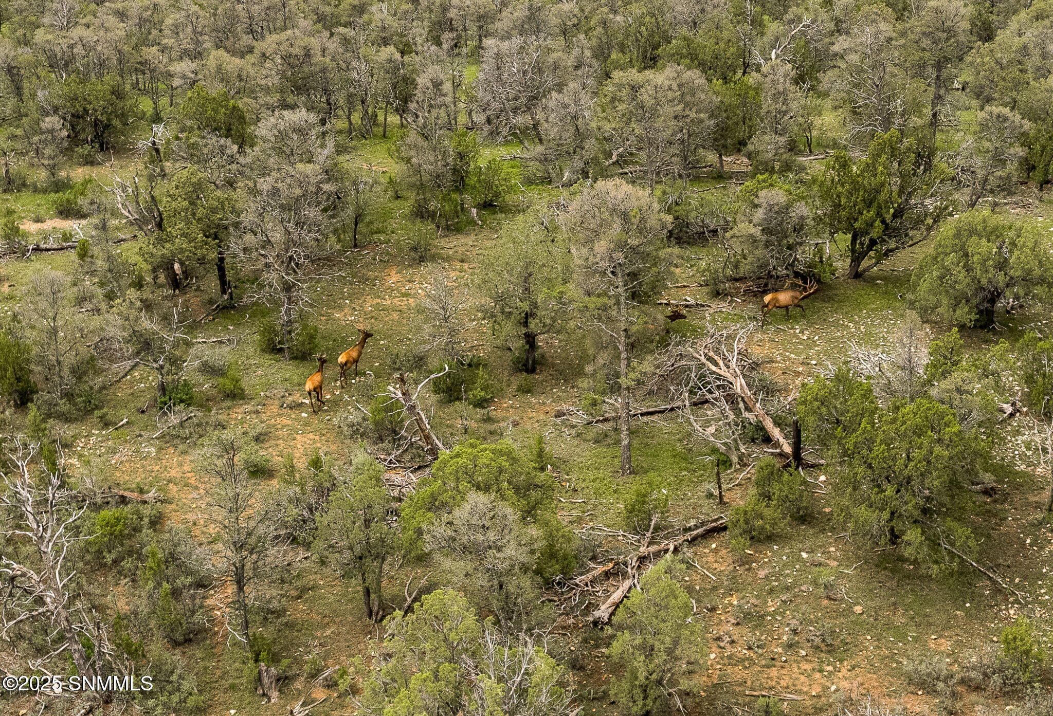 44-web-or-mls-Snappin Homes (DryCreekRan