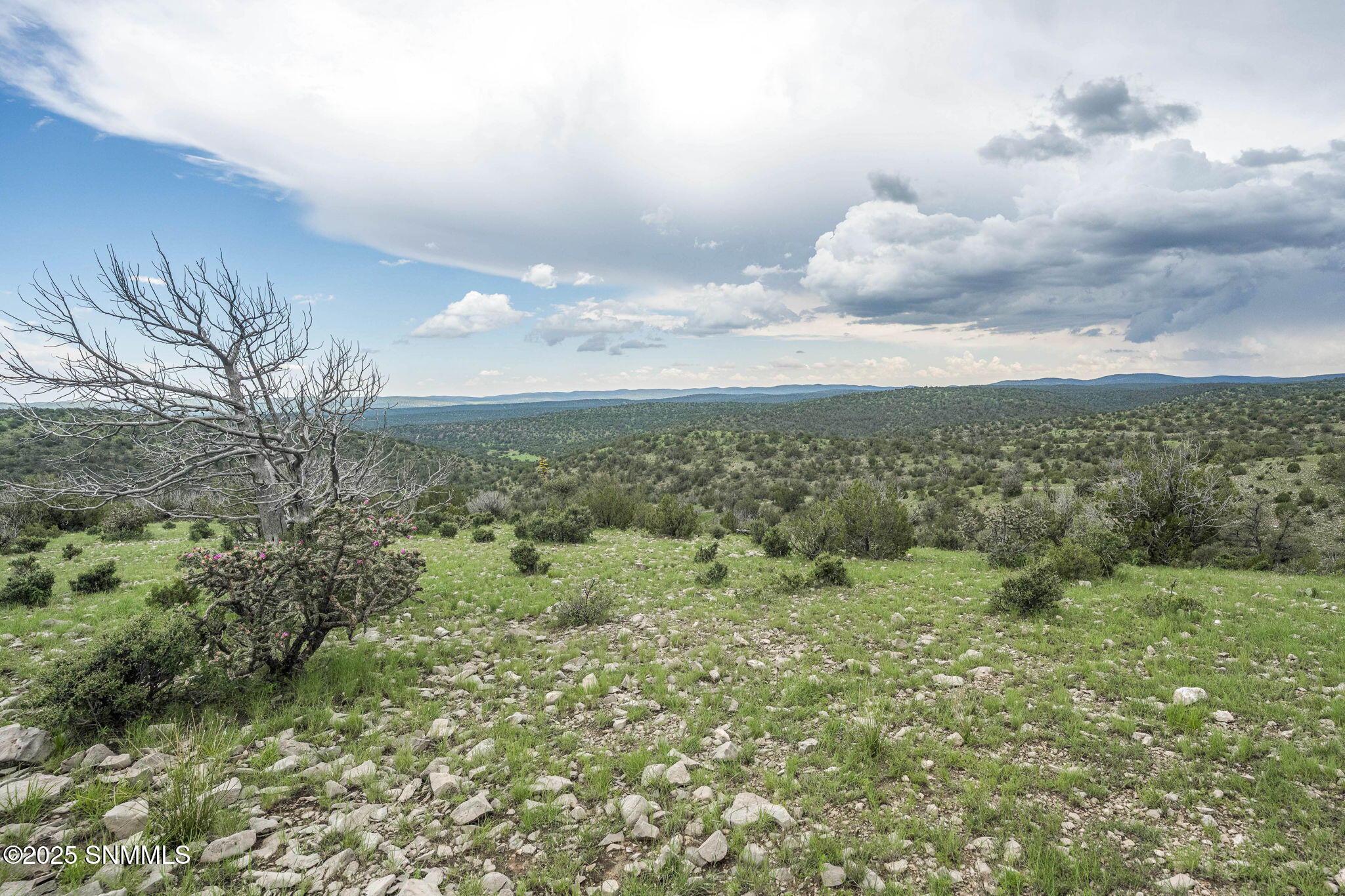 41-web-or-mls-Snappin Homes (DryCreekRan