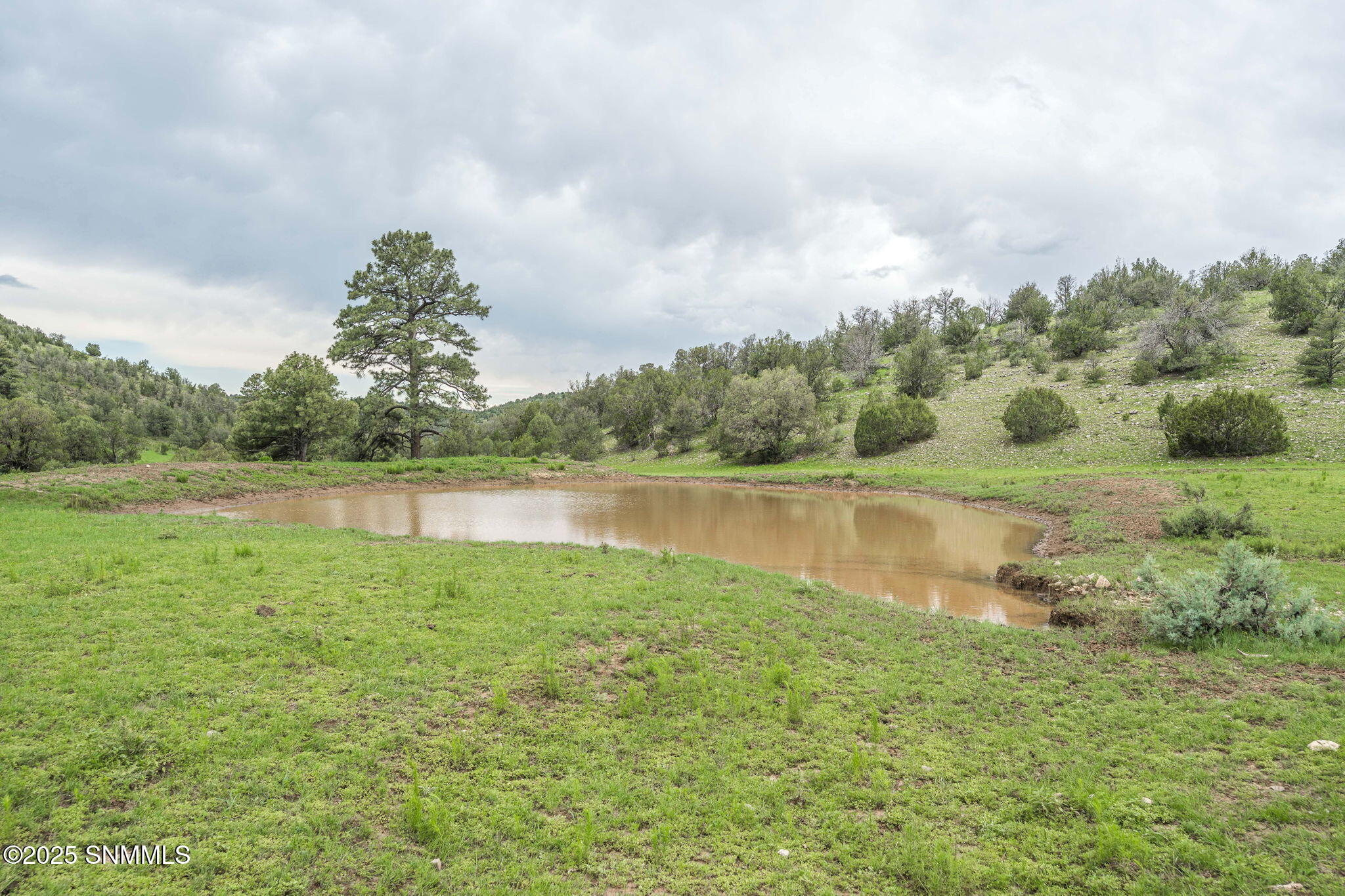 49-web-or-mls-Snappin Homes (DryCreekRan