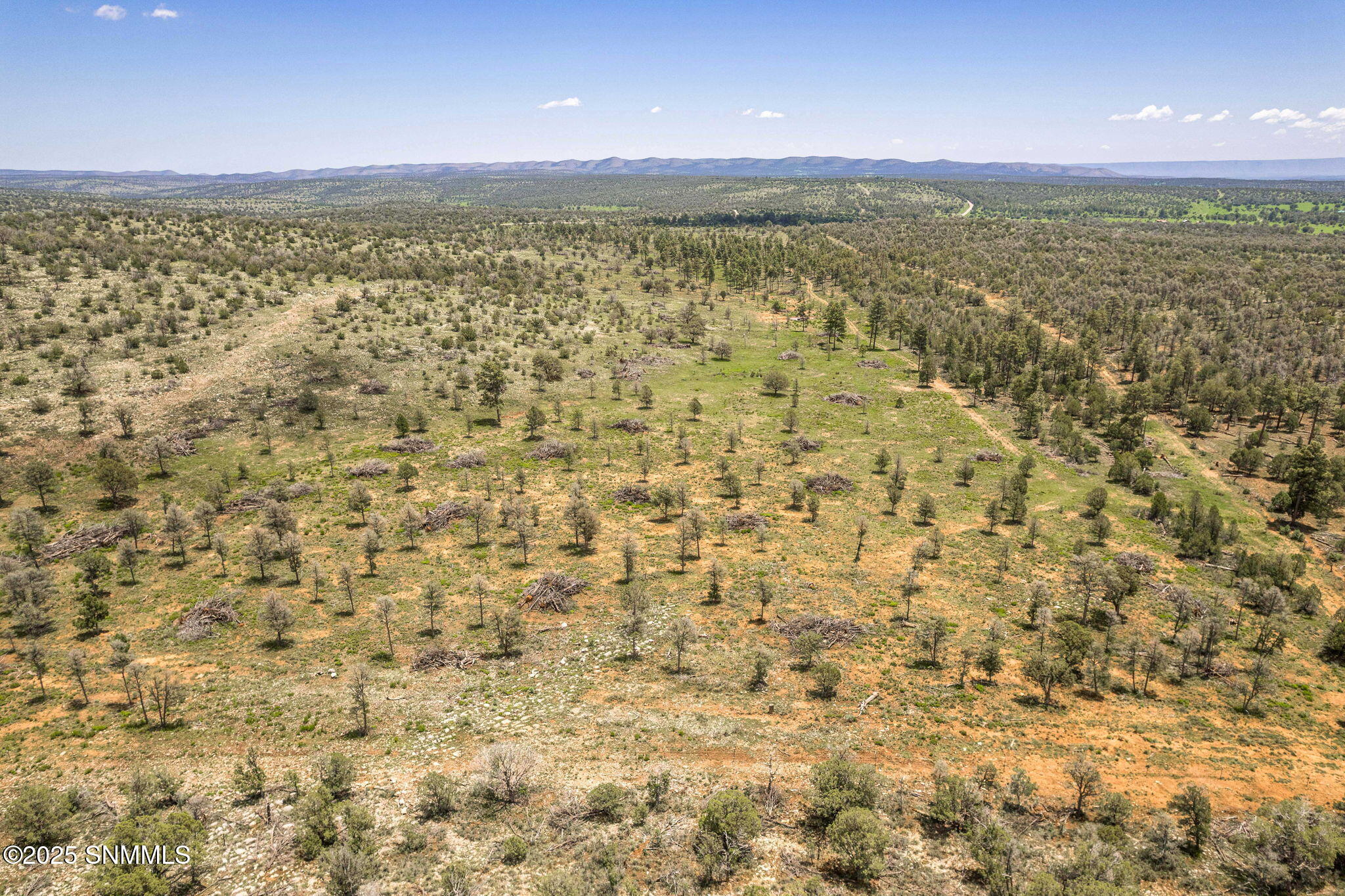 9-web-or-mls-Snappin Homes (DryCreekRanc