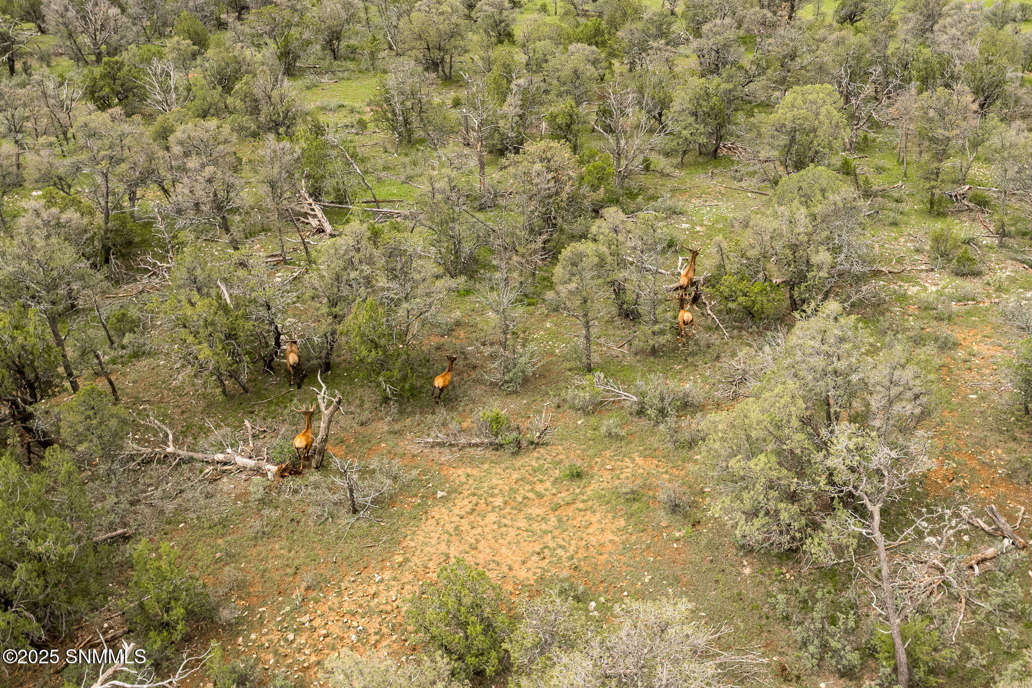 45-web-or-mls-Snappin Homes (DryCreekRan