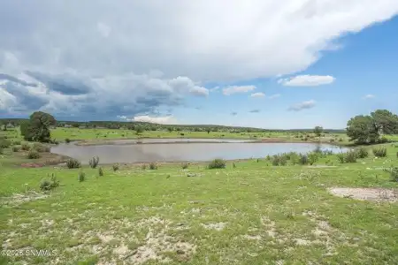 1604 NM-24, Weed, New Mexico 88354, ,Farm,For Sale,NM-24,2502290