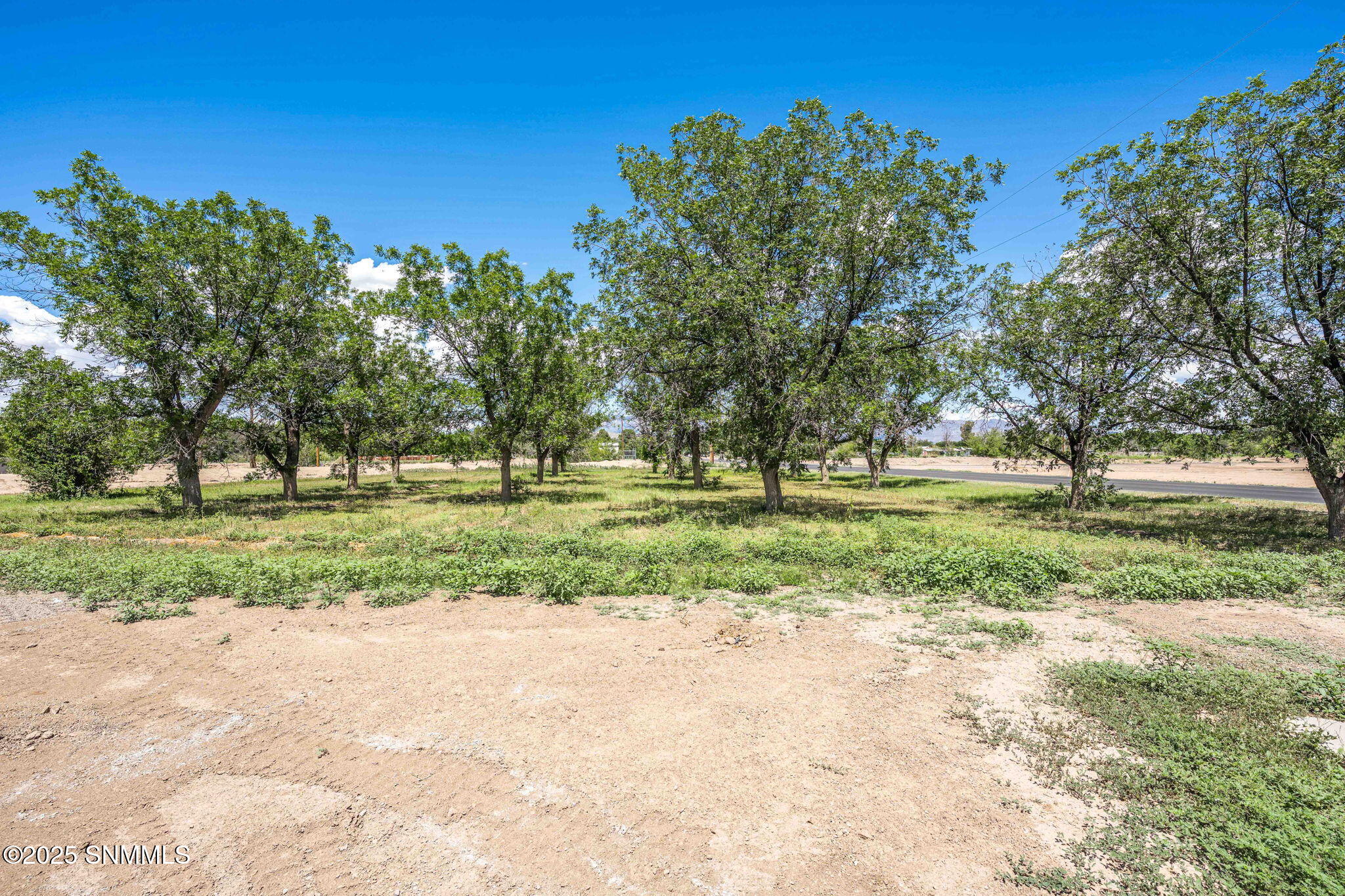 59-web-or-mls-Snappin Homes (Carver1032)