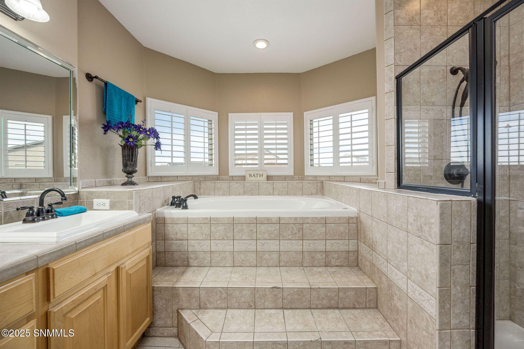 31-web-or-mls-Ascencion 3796-133