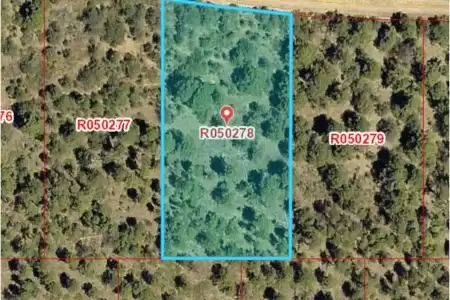 72 Brownwood Road, Timberon, New Mexico 88350, ,Land,For Sale,Brownwood,2502443