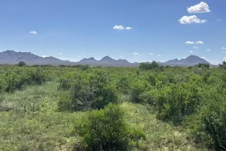 TBD Tasmania Avenue, Las Cruces, New Mexico 88012, ,Land,For Sale,Tasmania,2502815
