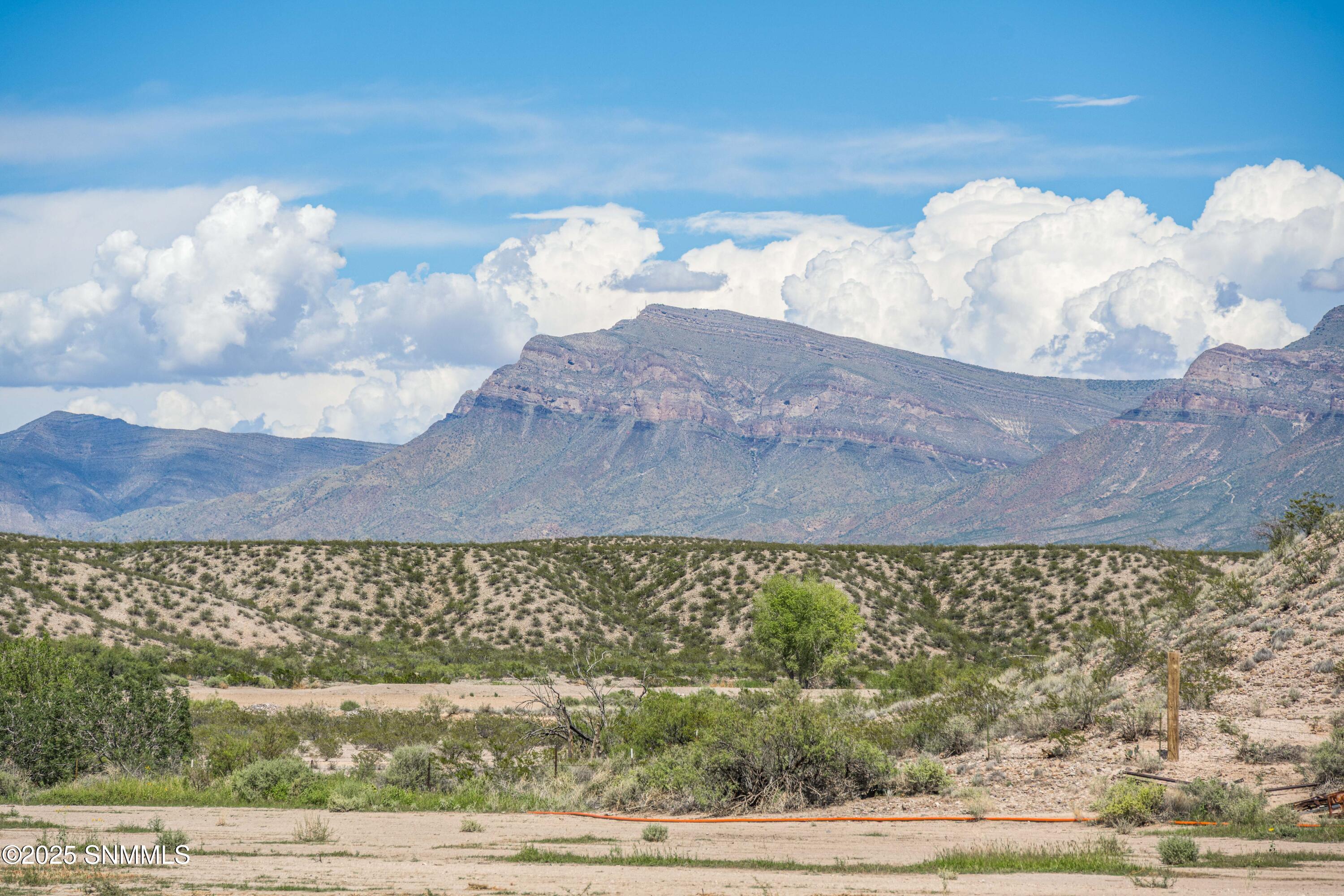 48-print-Snappin Homes (TrujilloCreek119