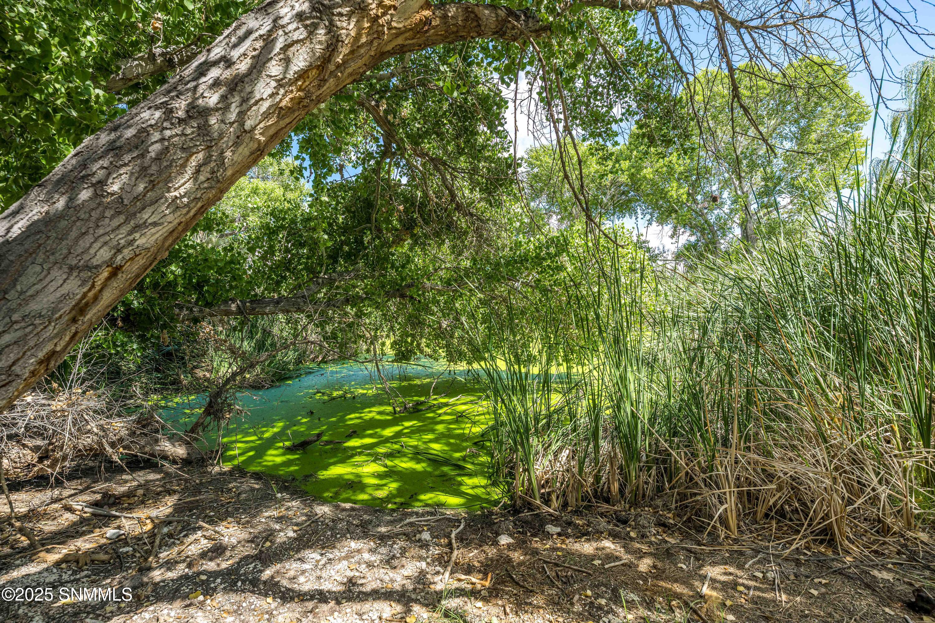 62-print-Snappin Homes (TrujilloCreek119