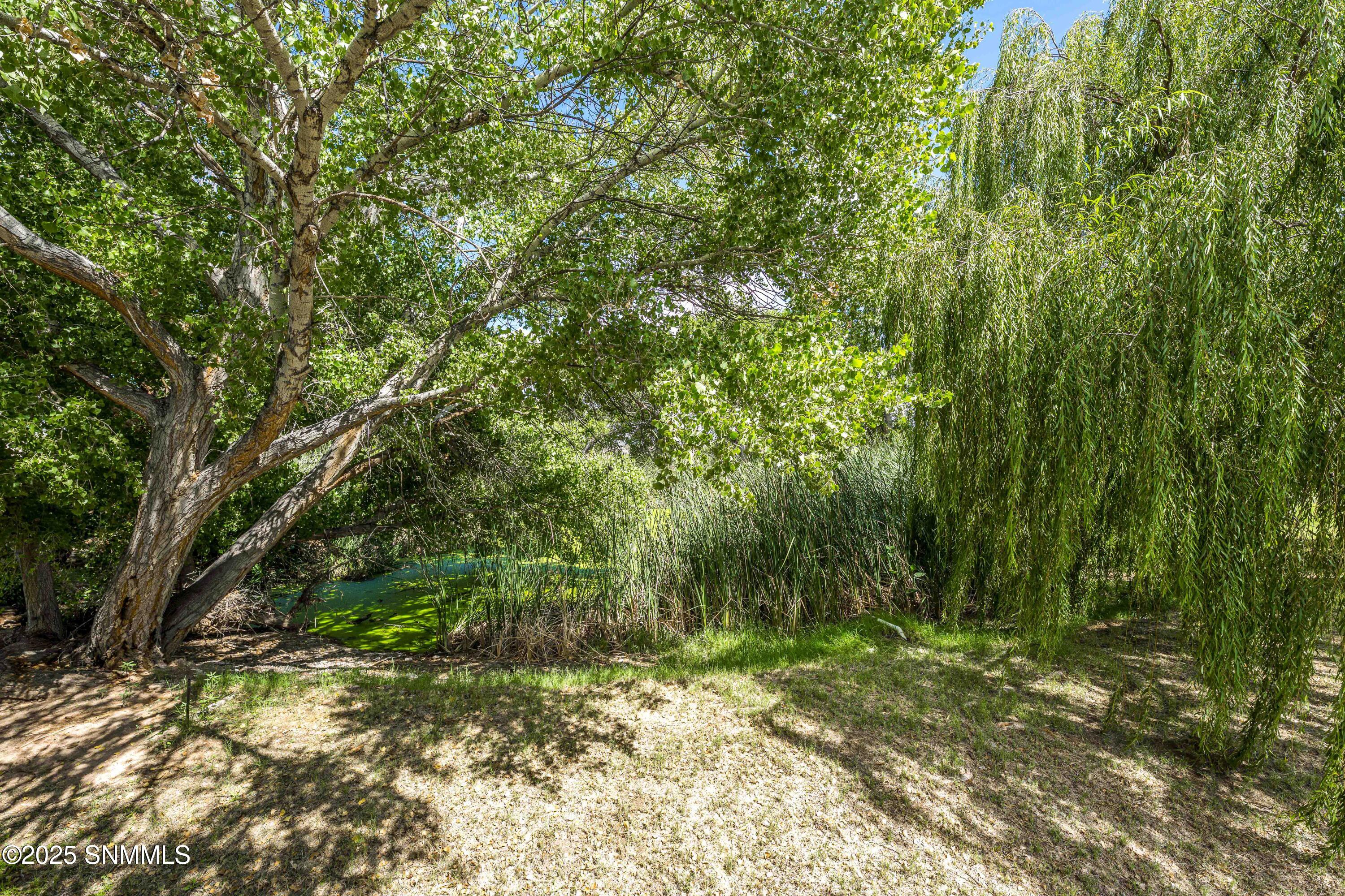 63-print-Snappin Homes (TrujilloCreek119