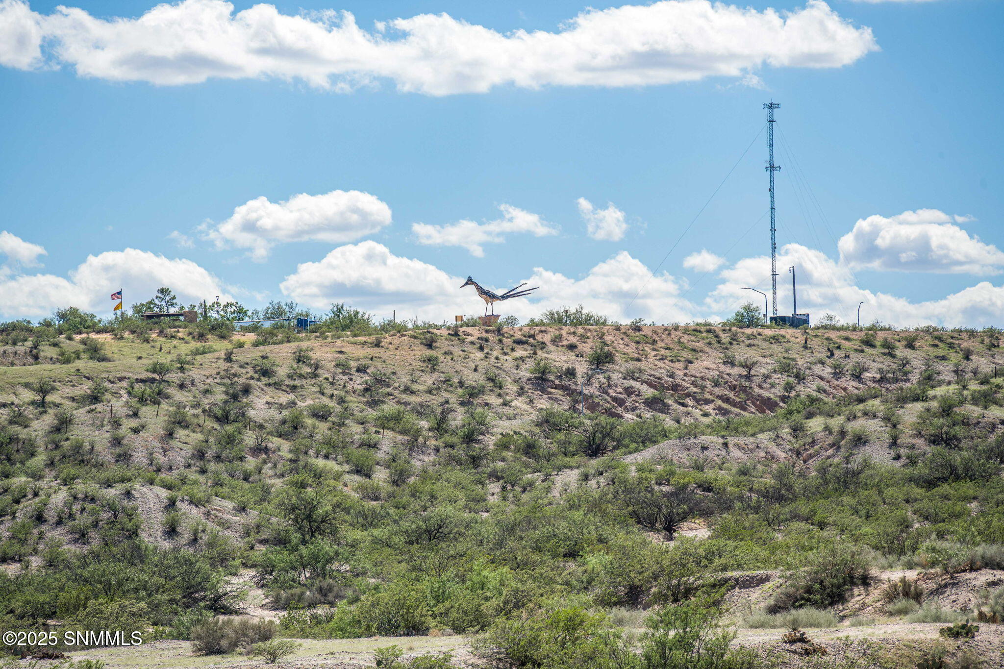 7-web-or-mls-Snappin Homes (RedWolf5585)