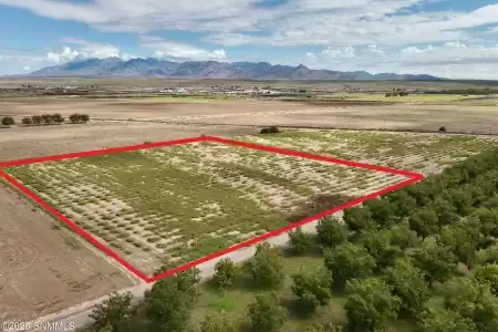 213 Sunshine Lane, Mesquite, New Mexico 88048, ,Land,For Sale,Sunshine,2503100