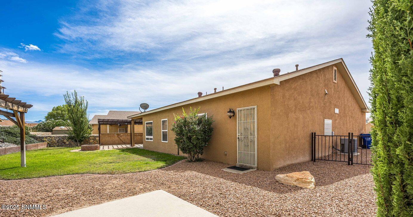 28 - Rear - 2541 Cats Eye-45