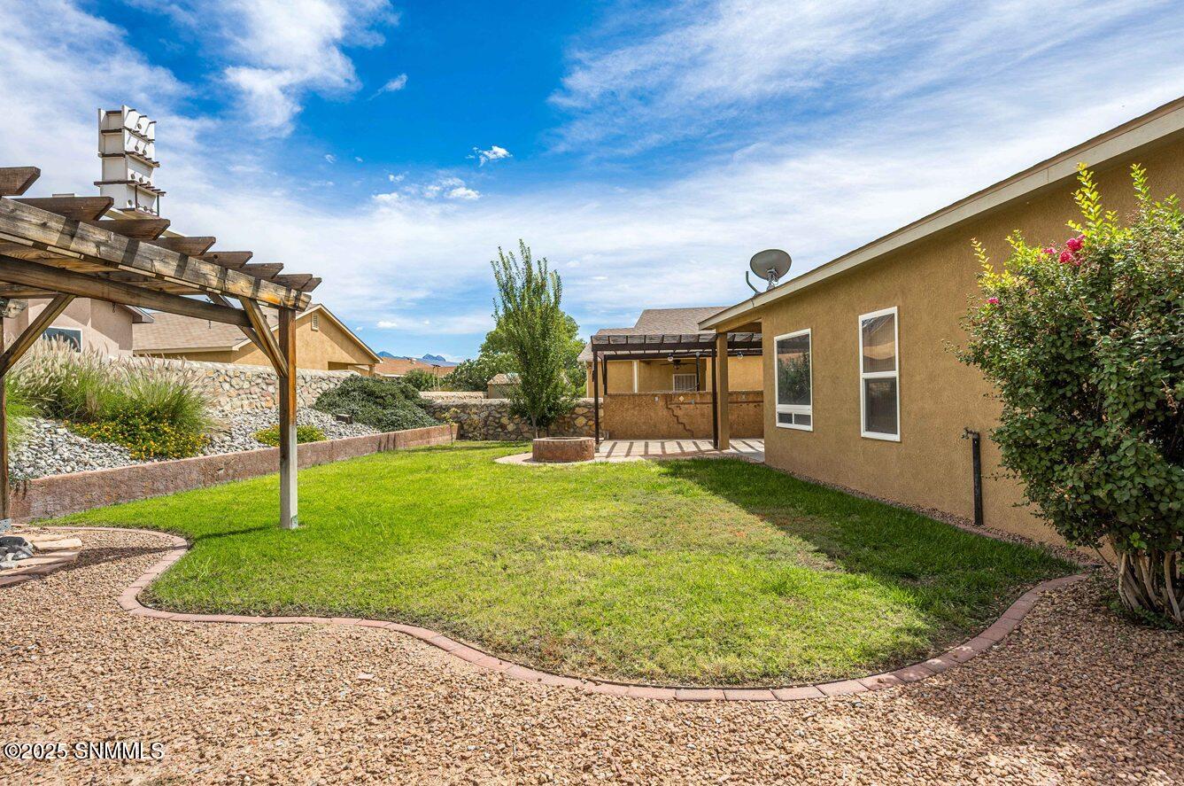 29 - Back Yard - 2541 Cats Eye-42