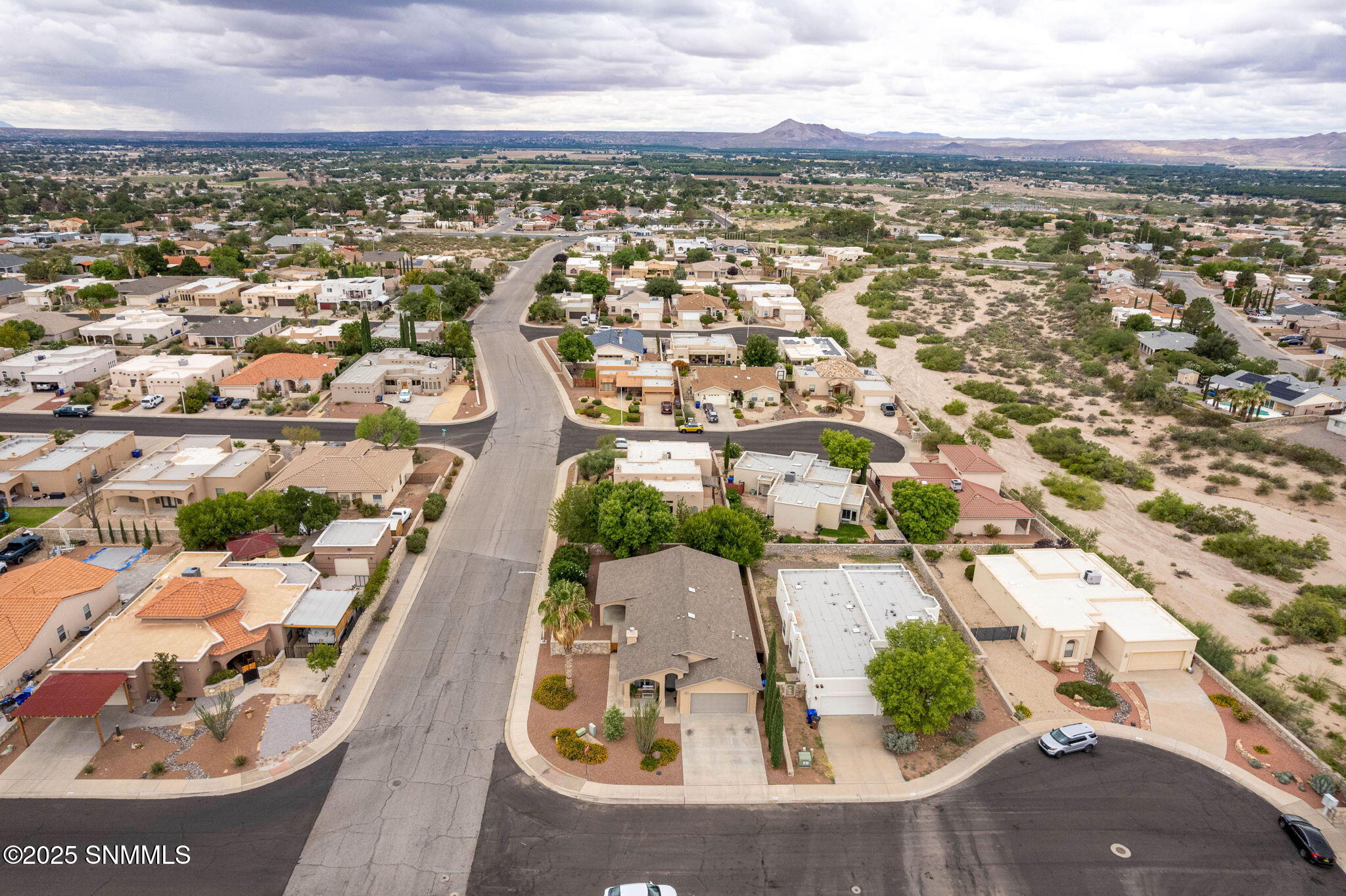 43_Arrowhead_Mojave_PattyOlson_