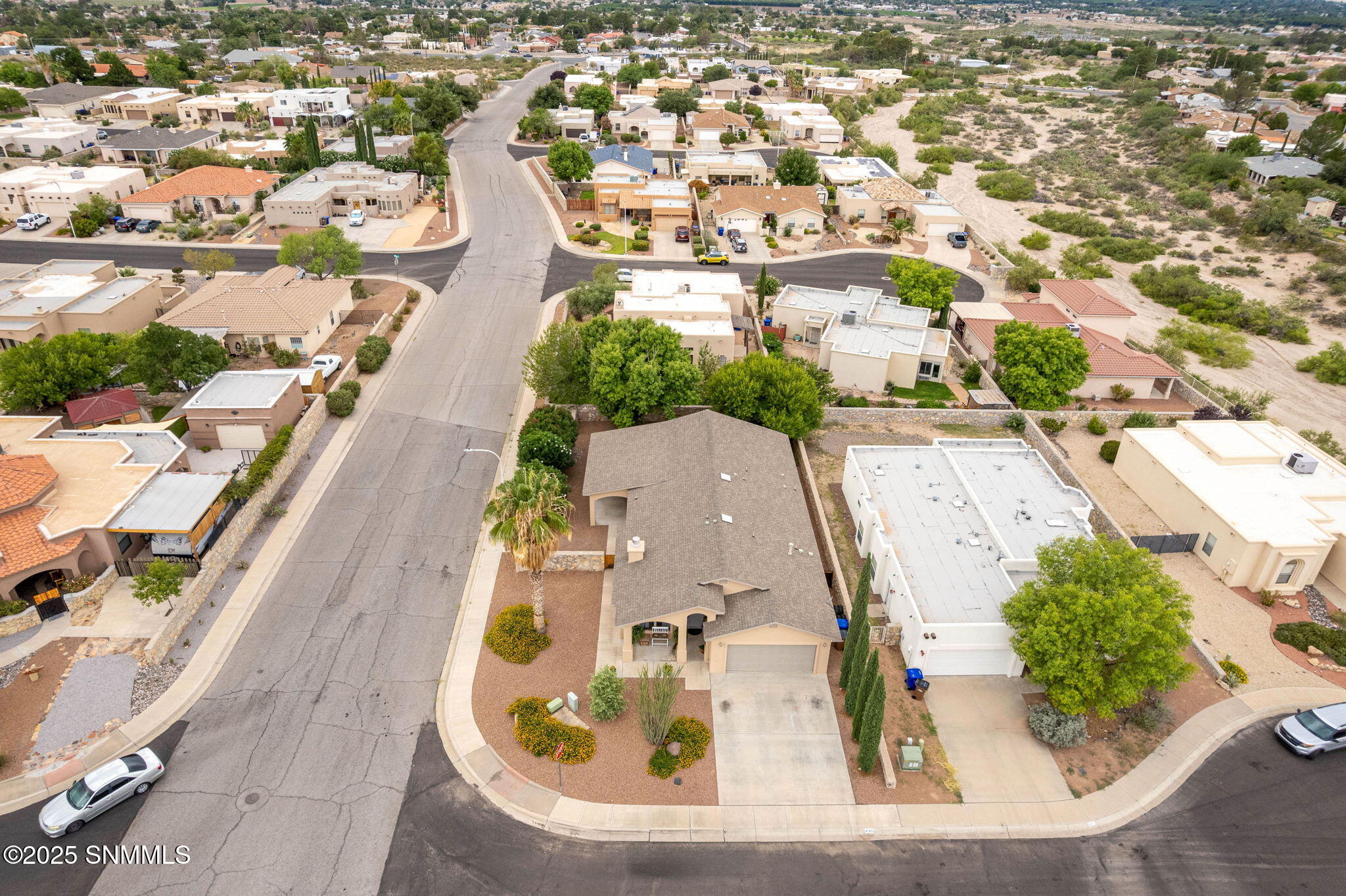 49_Arrowhead_Mojave_PattyOlson_Birds Eye