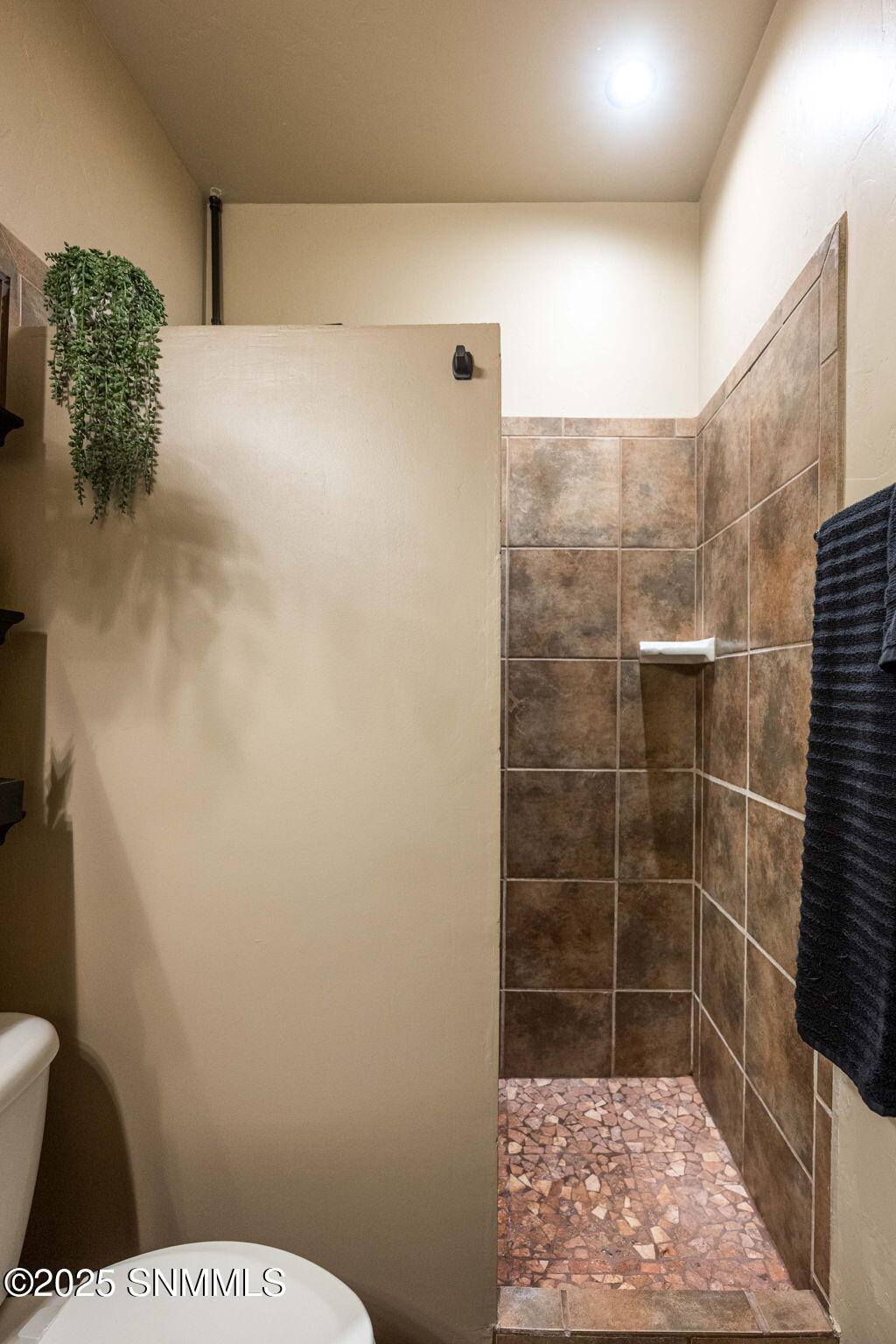 5798 Organ Peak Dr (25)