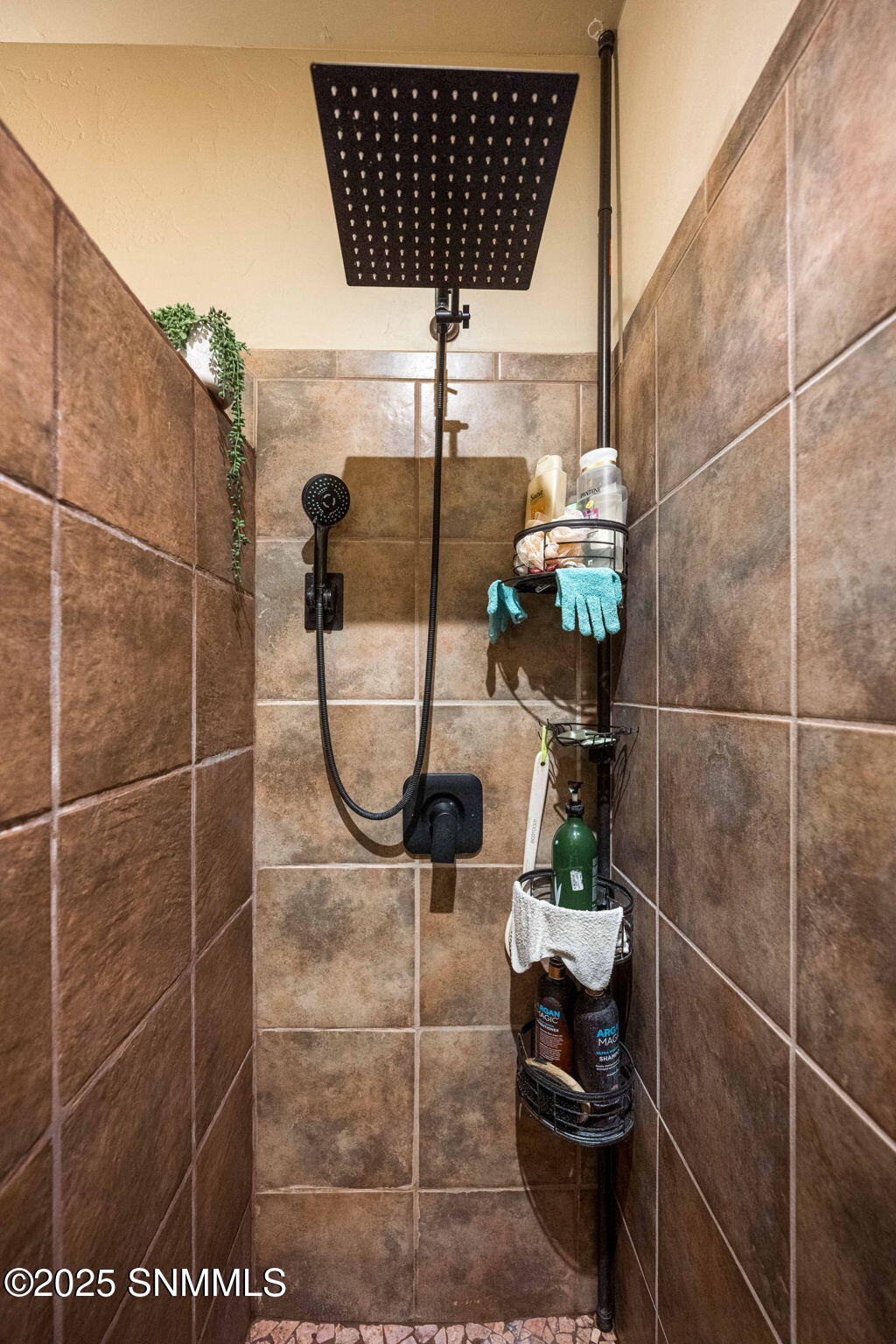 5798 Organ Peak Dr (26)