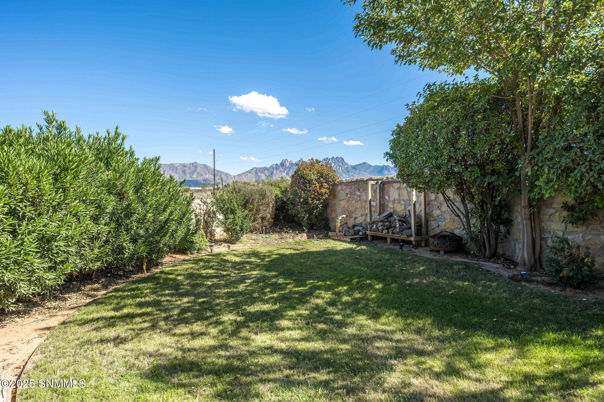 5798 Organ Peak Dr (1)