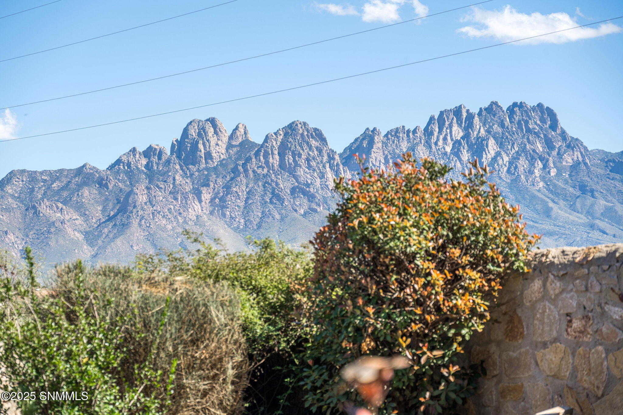 5798 Organ Peak Dr (40)