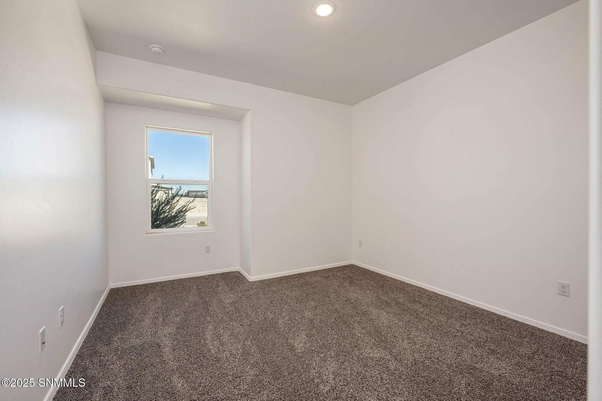 large-019a11b4-bdac-723e-88d9-670e0b6d59