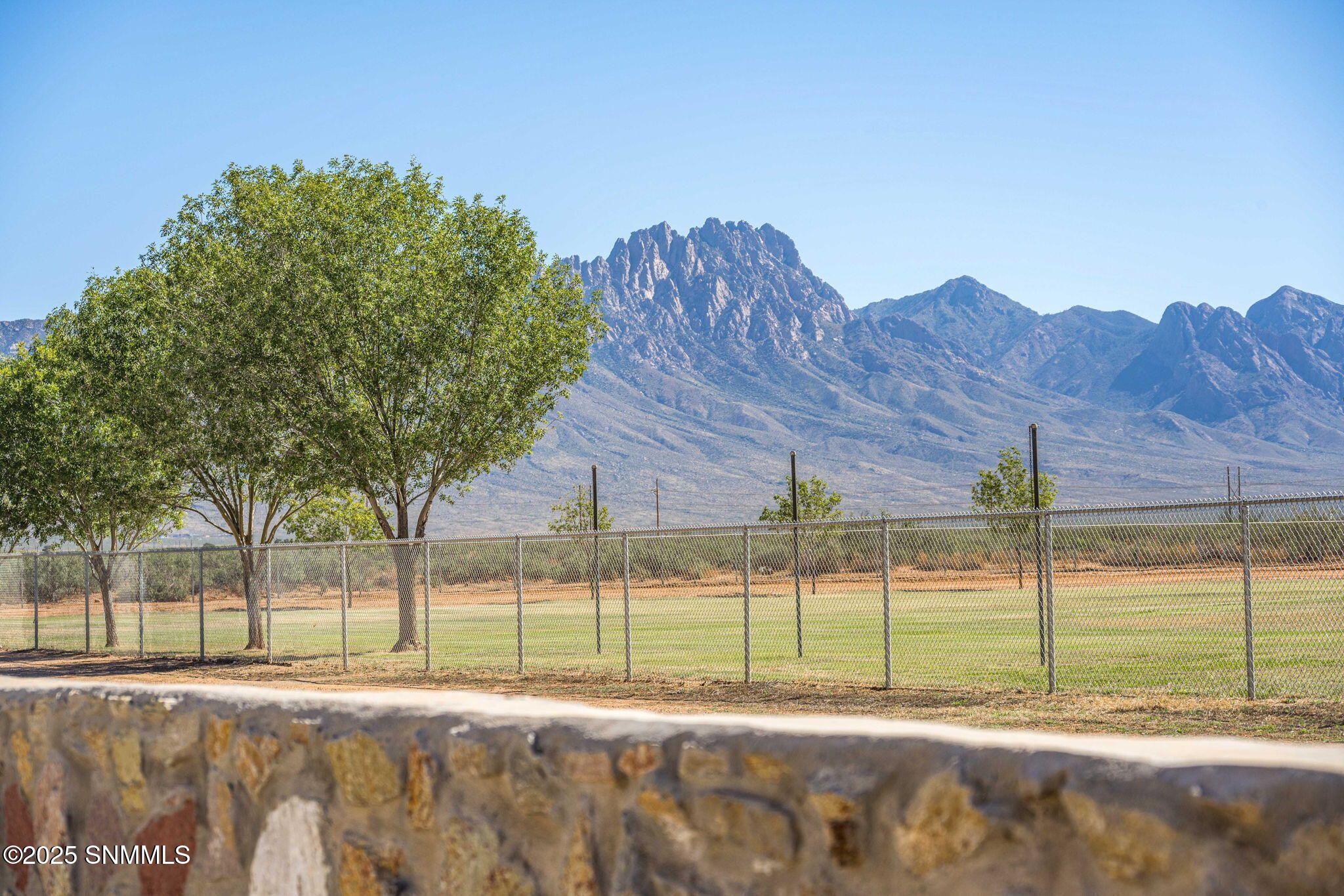 large-019a11b4-c1da-72fe-80c8-5b790bf0a0