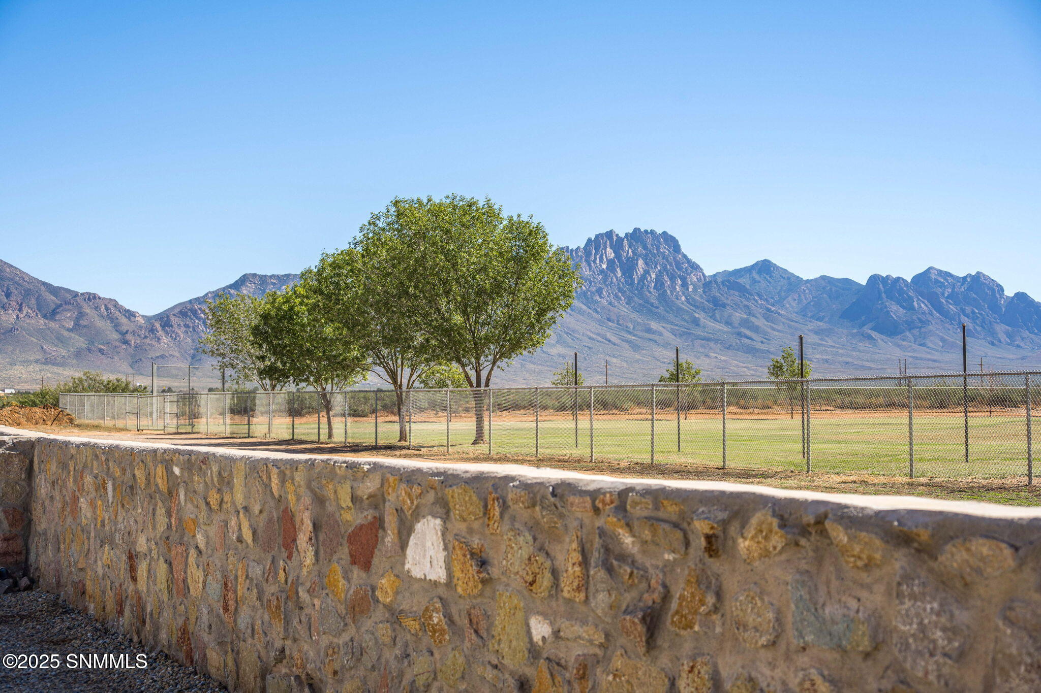 large-019a11b4-c185-701d-9d30-03859b46ea