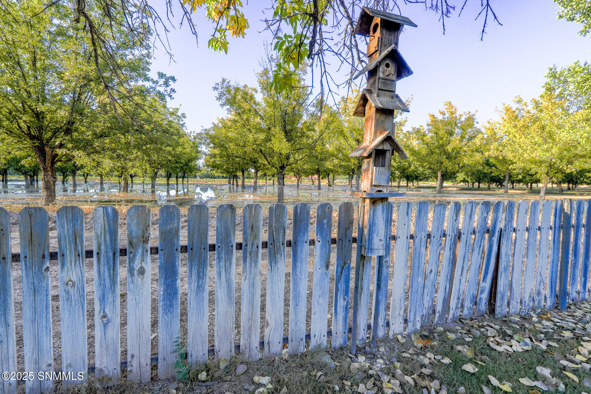 Back Yard View Watering Day
