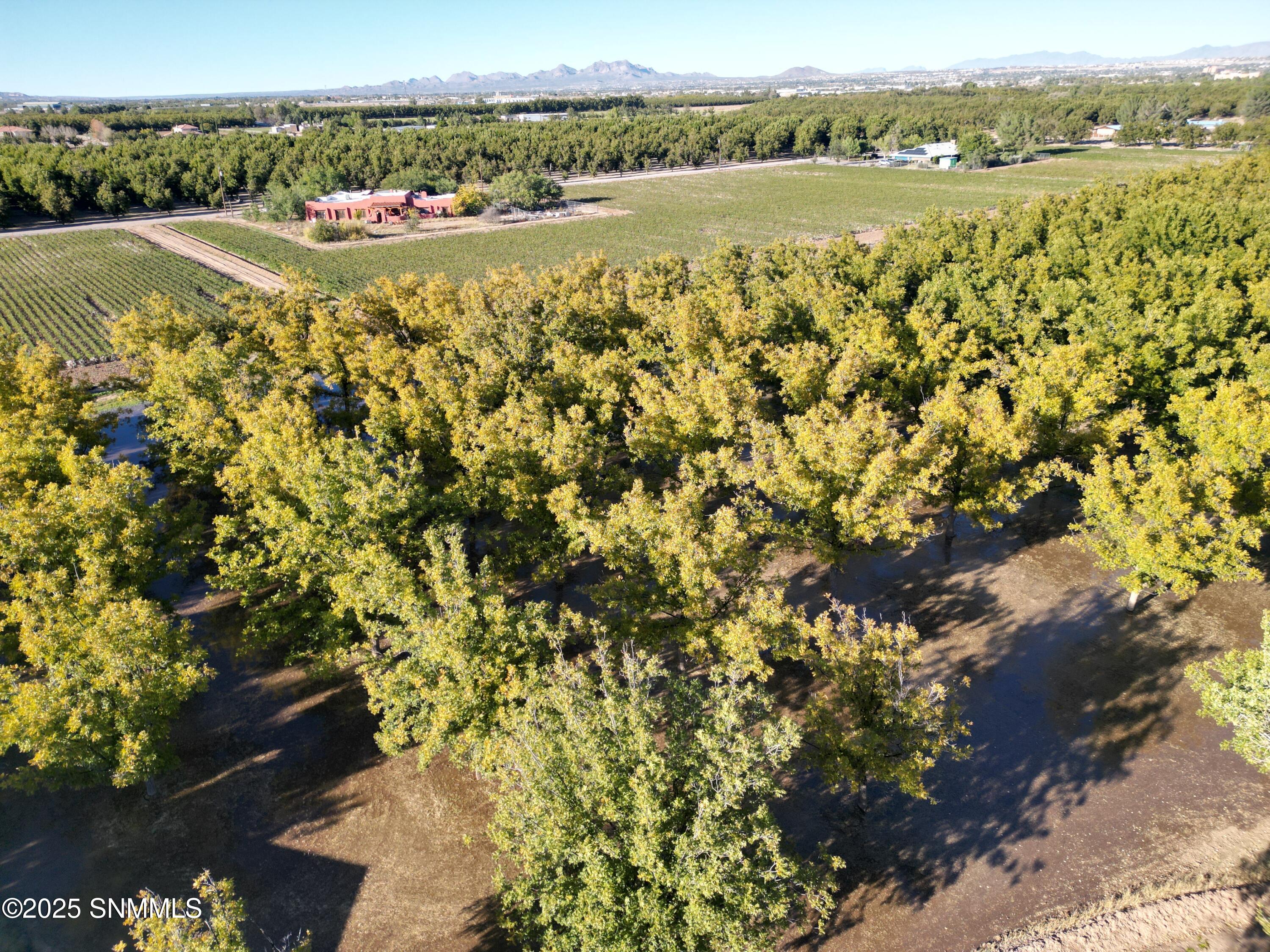 dji_fly_20251026_125640_933_176161658478