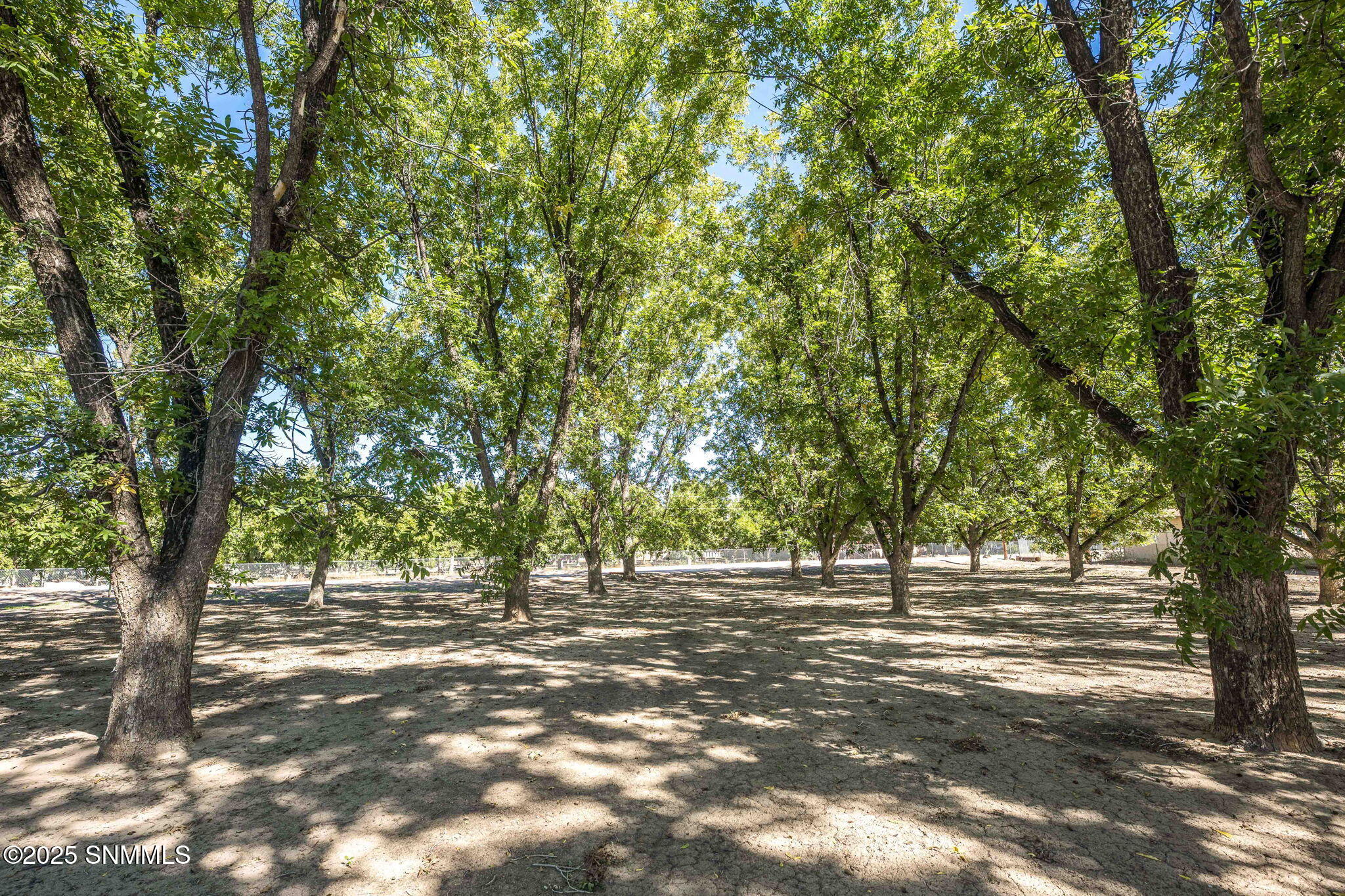 60-web-or-mls-Snappin Homes (Overlook446