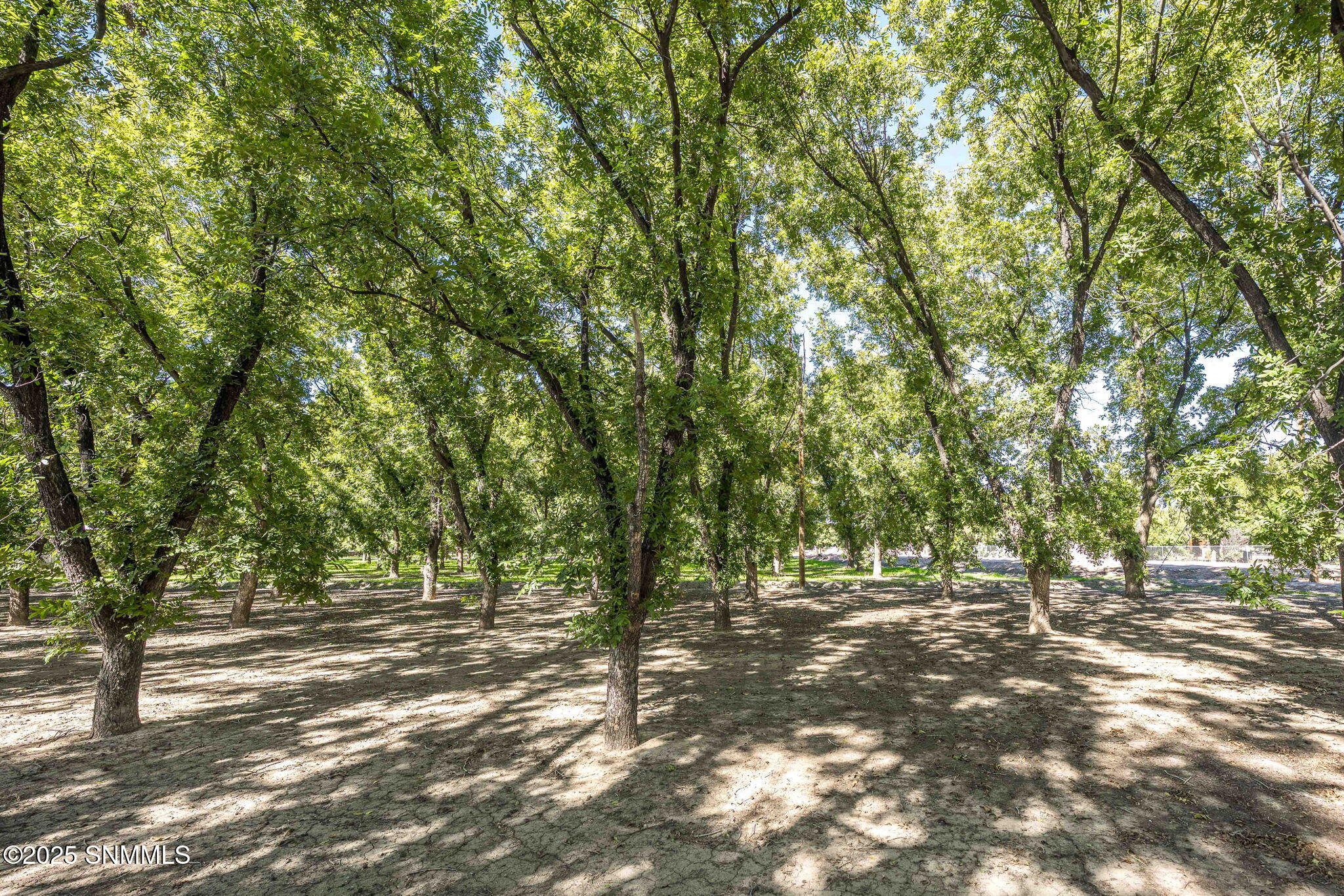 62-web-or-mls-Snappin Homes (Overlook446